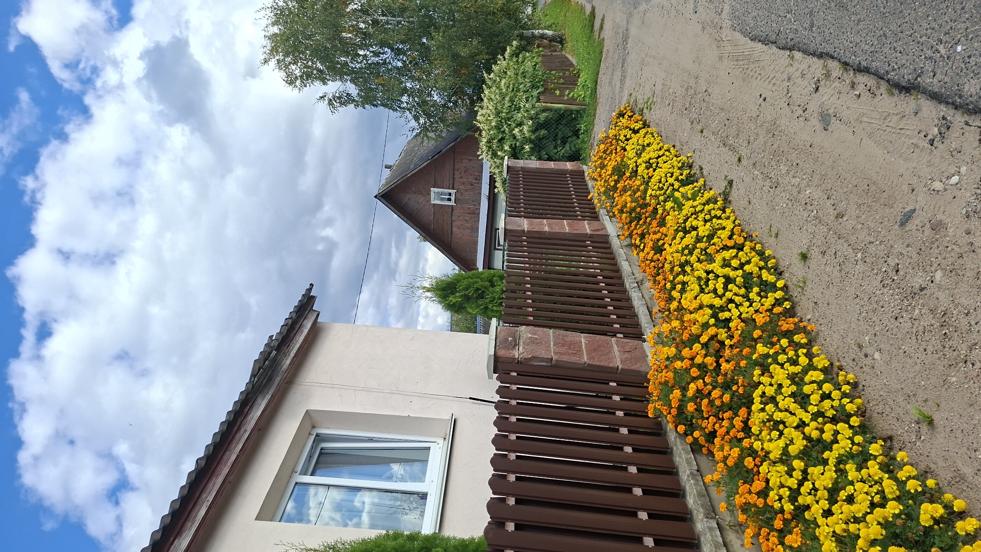 The image depicts a residential street scene in Myadzyel, Belarus. A light-colored, single-story house with a dark roof and a white-framed window is visible on the left. Adjacent to the house is a brown wooden picket fence with stone pillars. A vibrant flower bed filled with orange and yellow marigolds runs along the base of the fence.
Further down the street, a darker, two-story wooden house with a triangular roof and a small white-framed window is visible. A tall, leafy green tree stands to the right of this house. The street itself is a mix of asphalt and dirt or gravel. The sky above is blue with scattered white clouds. The overall impression is of a well-maintained, suburban or rural residential area.