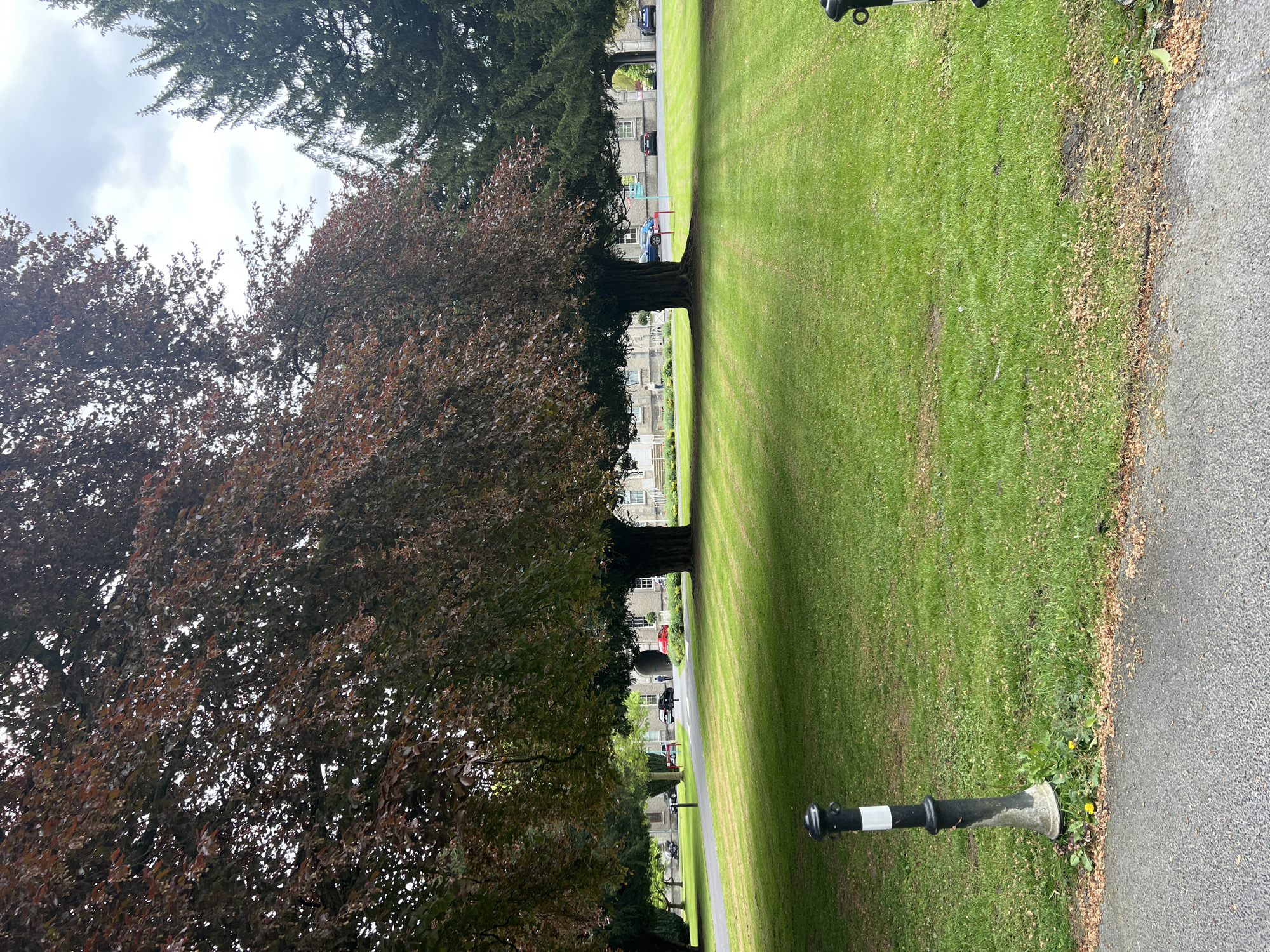 The image depicts a park landscape in the city of Unknown, Unknown. A strip of meticulously manicured green grass dominates the center of the view, displaying clear mowing lines. Flanking the grass are rows of trees with lush foliage; the tree on the left is distinguished by its reddish-brown leaves, contrasting with the darker green of the trees on the right. Beyond the trees, buildings are faintly visible, suggesting a suburban or urban fringe environment. In the foreground, near the edge of a paved pathway, there is a black and white bollard. The sky is overcast, casting a soft light over the scene.
