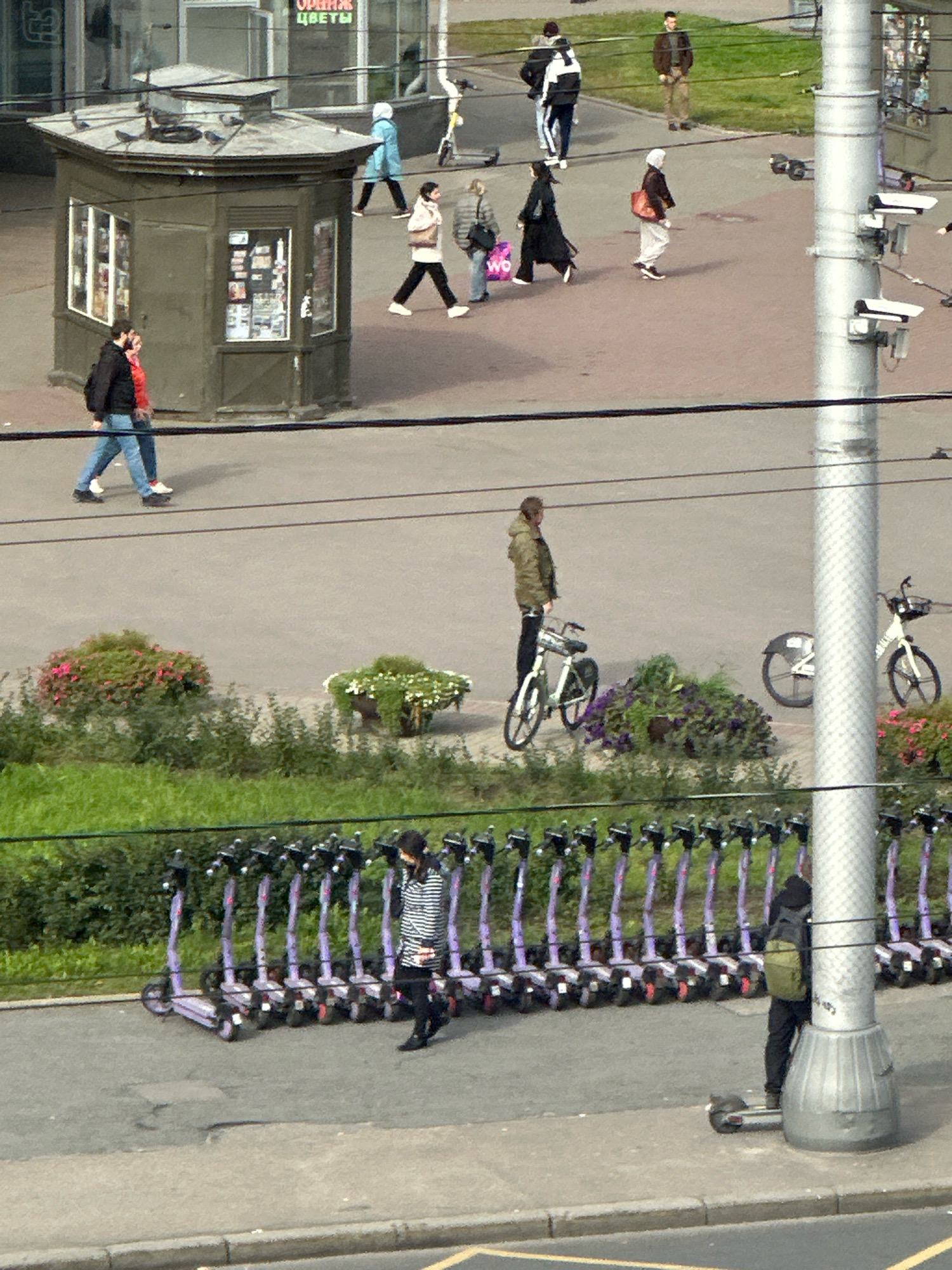 The image captures a street scene in Saint Petersburg, Russia, likely on a paved pedestrian walkway adjacent to a street. In the foreground, a line of approximately 15 purple electric scooters are parked along the curb. To the right of the scooters, a person wearing a black jacket and a backpack is standing near a light pole. Further back, a woman in a striped shirt and black pants walks away from the viewer, passing the scooters. In the middle ground, a woman in a green jacket stands next to a white bicycle. Another white bicycle is parked further back, with its front wheel visible. A stand of trees and flowers with pink and white blooms is present in the mid-ground.
In the background, a kiosk with multiple windows is visible, with several people walking around it. Two individuals, one in a black jacket and the other in a red jacket, are walking together near the kiosk. Across the street, several people are walking on a paved surface. One person is wearing a white and black jacket, and another is wearing a brown jacket. A person in a blue jacket is walking with a white object, possibly a scooter or bicycle. A woman in a black garment and headscarf, carrying a red bag, is also walking. Another woman in a white jacket and dark pants walks past her. On the far right, a brown-clad man stands facing the camera. The overall environment suggests a daytime scene with scattered pedestrians and parked transportation options.