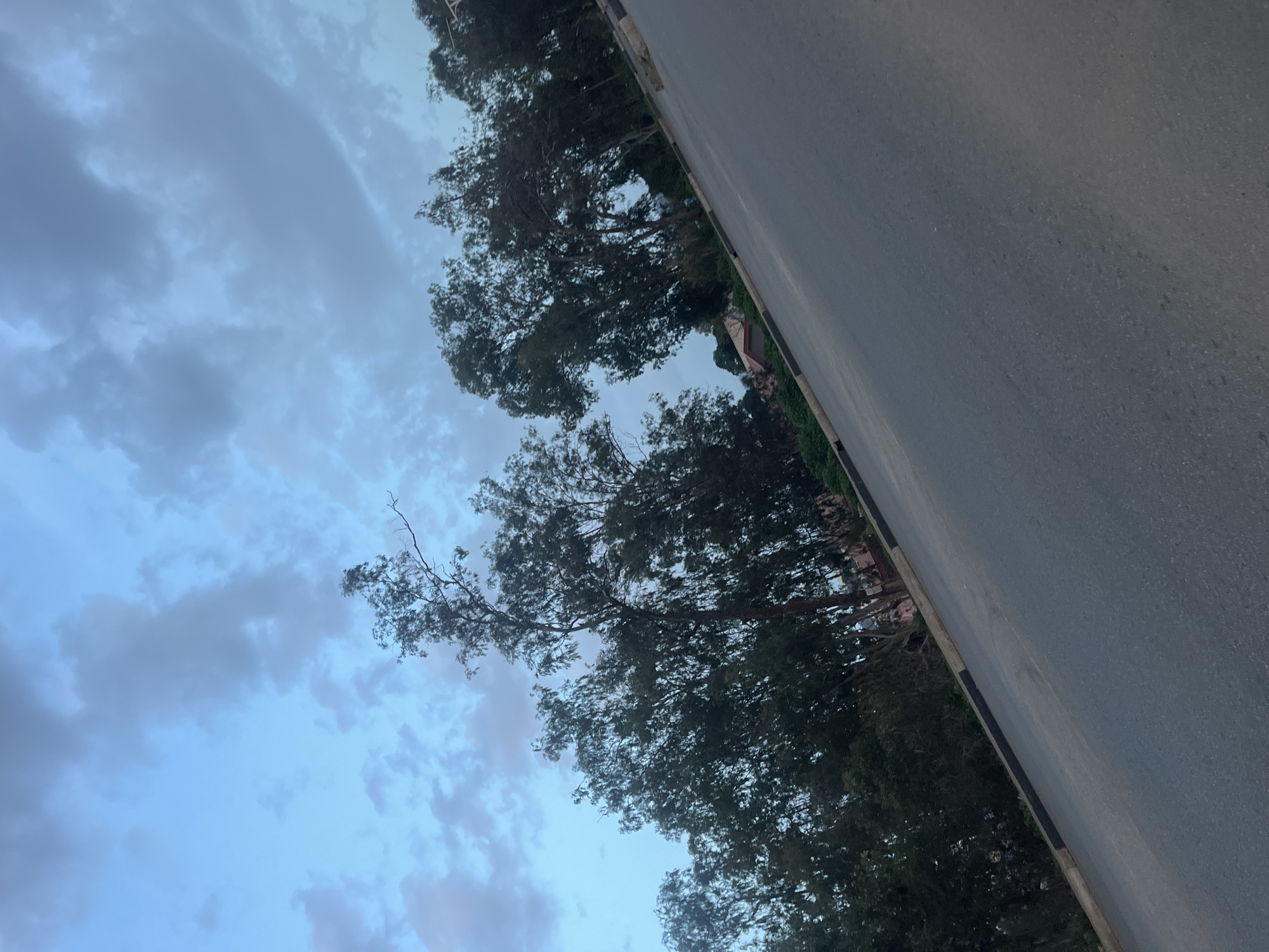 The image depicts a gray asphalt road running diagonally from the bottom left to the upper right. The road is bordered by a curb with alternating black and white sections on the left side. A dense line of trees with dark green foliage runs parallel to the road on the left. Above the trees, the sky is a soft blue with scattered gray clouds. In the background, through a gap in the trees, hints of buildings with reddish roofs can be seen. The scene appears to be an outdoor environment, possibly a roadside in Gura Top, Nigeria, during twilight or overcast weather. There are no people or animals visible in the frame. The overall impression is one of a quiet, natural landscape bordering a man-made road.
