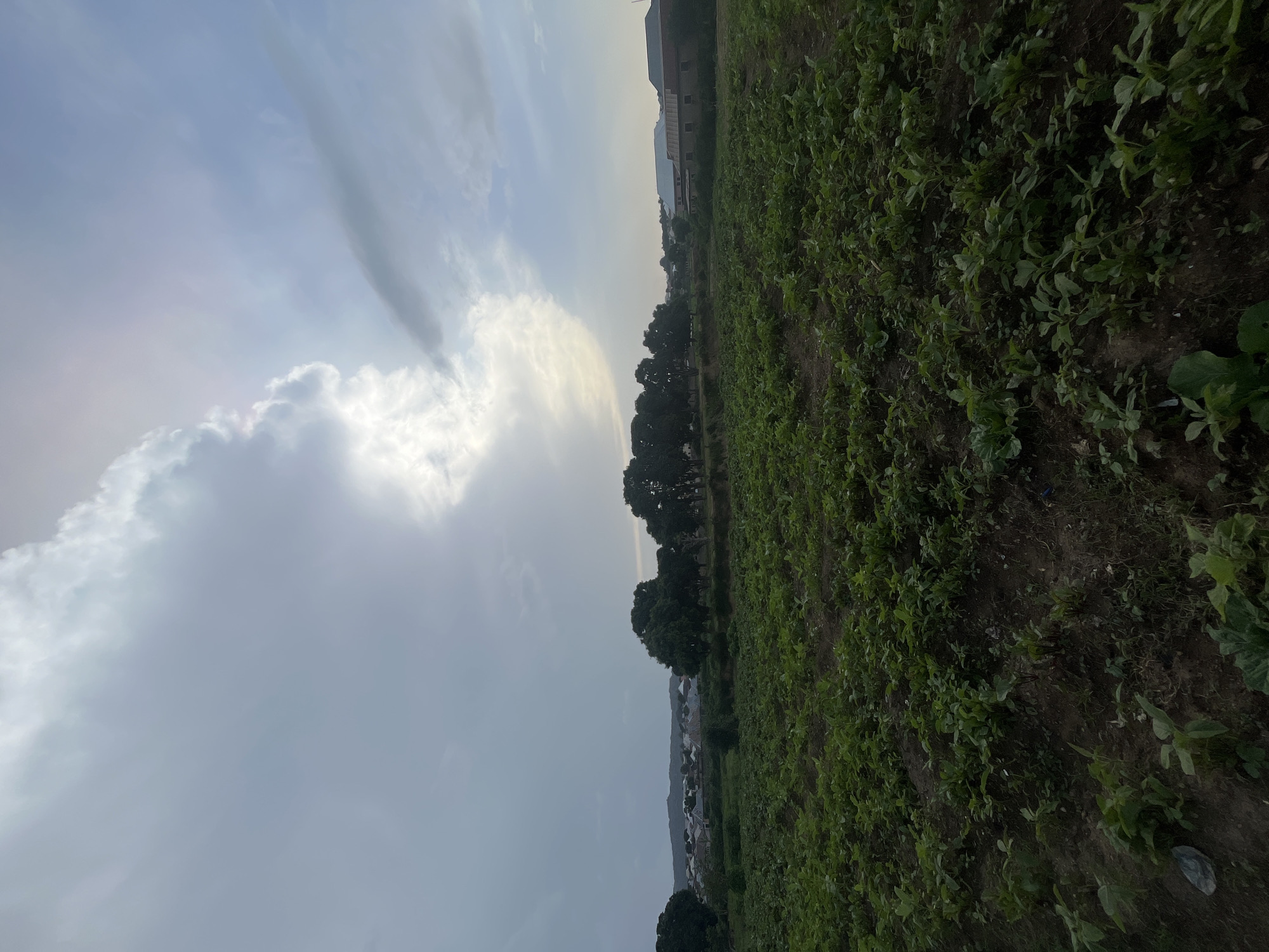 This image depicts an agricultural field in the city of Rafin Par, Nigeria. The foreground is dominated by rows of green leafy crops planted in dark soil. Beyond the crops, a line of lush green trees separates the field from a settlement in the middle ground. The settlement consists of various buildings with corrugated metal roofs and some with pitched roofs, interspersed with more vegetation. In the distance, the landscape rises into rolling hills. The sky above is a mix of clouds, with bright sunlight breaking through in the upper right quadrant, casting a subtle glow. The overall scene suggests a rural or semi-rural setting within Rafin Par, characterized by agriculture and residential structures under a dynamic sky.