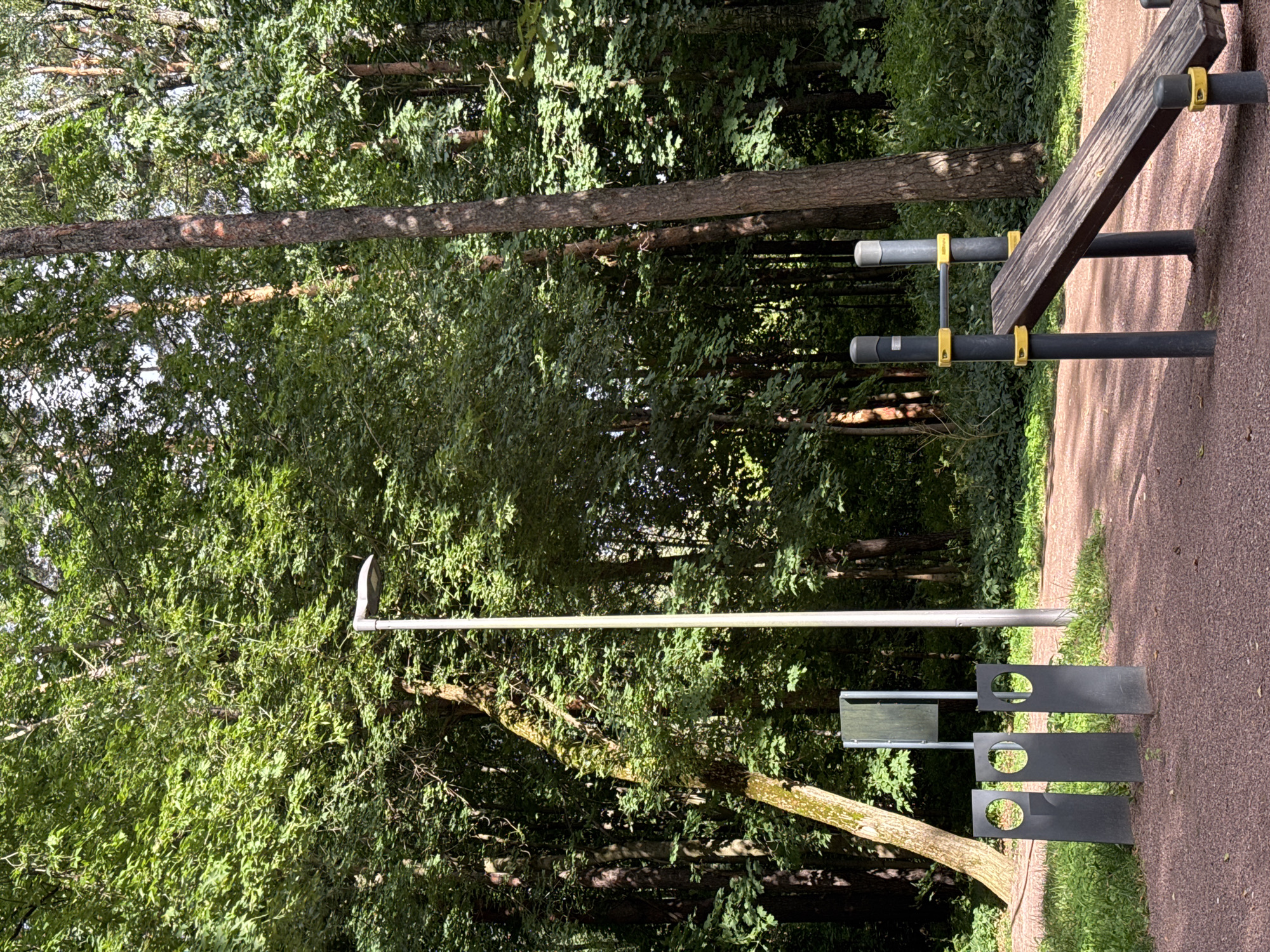 In Barvikha, Russia, a sunlit park features a sports ground with exercise equipment. In the foreground, a slanted wooden bench, part of an abdominal trainer, rests between dark grey poles adorned with yellow accents. To the left, three dark grey vertical rectangular structures with circular cutouts stand on a reddish-brown gravel path. Behind these, a tall, slender streetlight with a curved lamp head is positioned. The ground is covered in gravel and green grass, with a walking path meandering through it. The background is dominated by a dense forest of tall trees with lush green foliage, creating a shaded and natural environment. The lighting suggests it is daytime, with sunlight filtering through the leaves. There are no people visible in the scene.