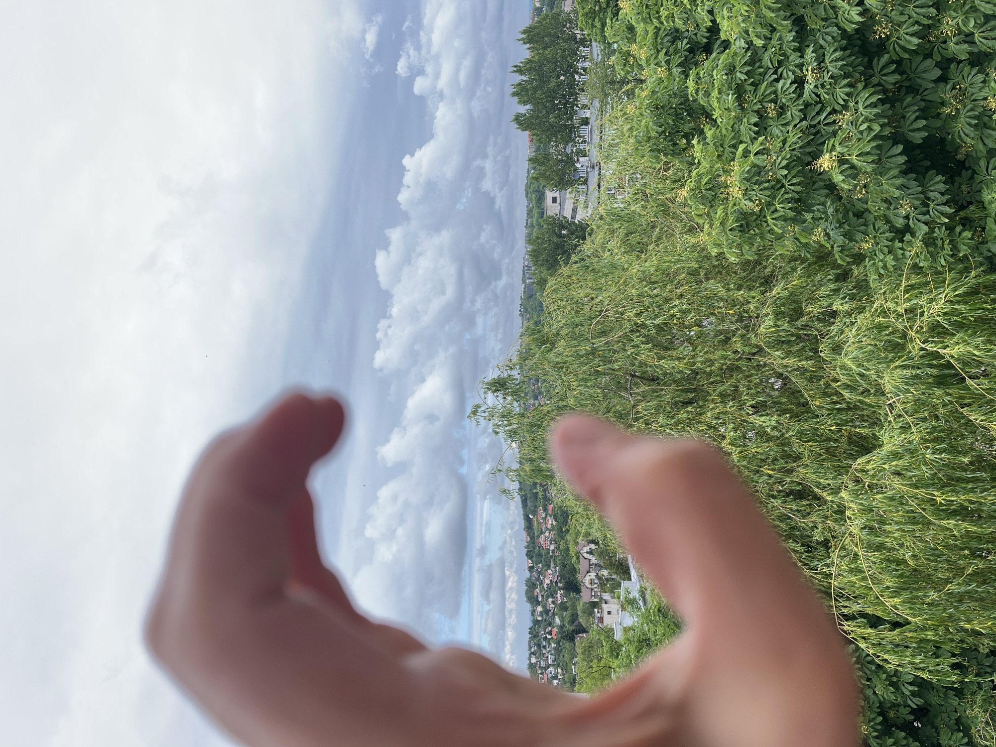 The image, oriented vertically, presents a scenic panoramic view through the blurred fingers of two human hands in the foreground. The hands, out of focus, frame a distant landscape.
The scene beyond the hands reveals a residential area nestled within a valley or across a hillside, dotted with numerous houses and buildings. Abundant green vegetation, consisting of various types of trees and bushes, densely covers the slopes. Some trees feature light green, wispy leaves, possibly willows, while others display darker, more structured foliage with small clusters of yellow flowers.
Above the distant horizon, the sky is partially cloudy, with a mix of white and light grey clouds, indicating an overcast or partially clear daytime. The weather appears mild. The image captures a serene, elevated perspective over a verdant settlement. There is no visible text in the image.