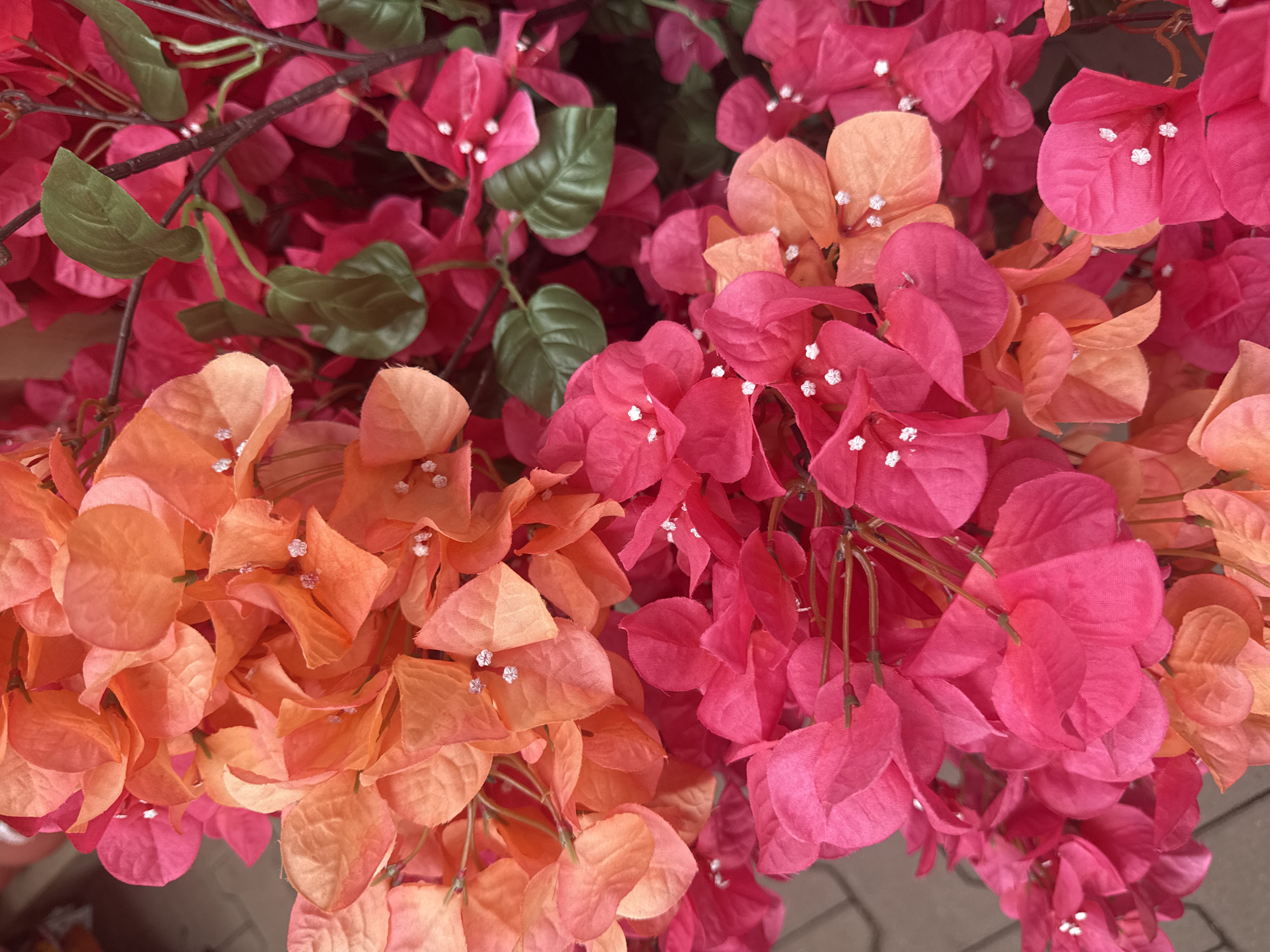 This media file displays a close-up, overhead view of artificial bougainvillea flowers. The flowers are a vibrant mix of pink and orange hues, with delicate white centers. They are arranged in dense clusters, with some green artificial leaves interspersed among them, giving the impression of a natural plant. The textured material of the artificial petals is visible upon close inspection. The background suggests an outdoor setting, possibly a garden or a decorative display, with hints of a brick-like texture at the bottom edge. There is no discernible time of day or weather indicated, and no text is present in the image. The overall impression is one of colorful, decorative floral arrangement, likely intended for aesthetic appeal.