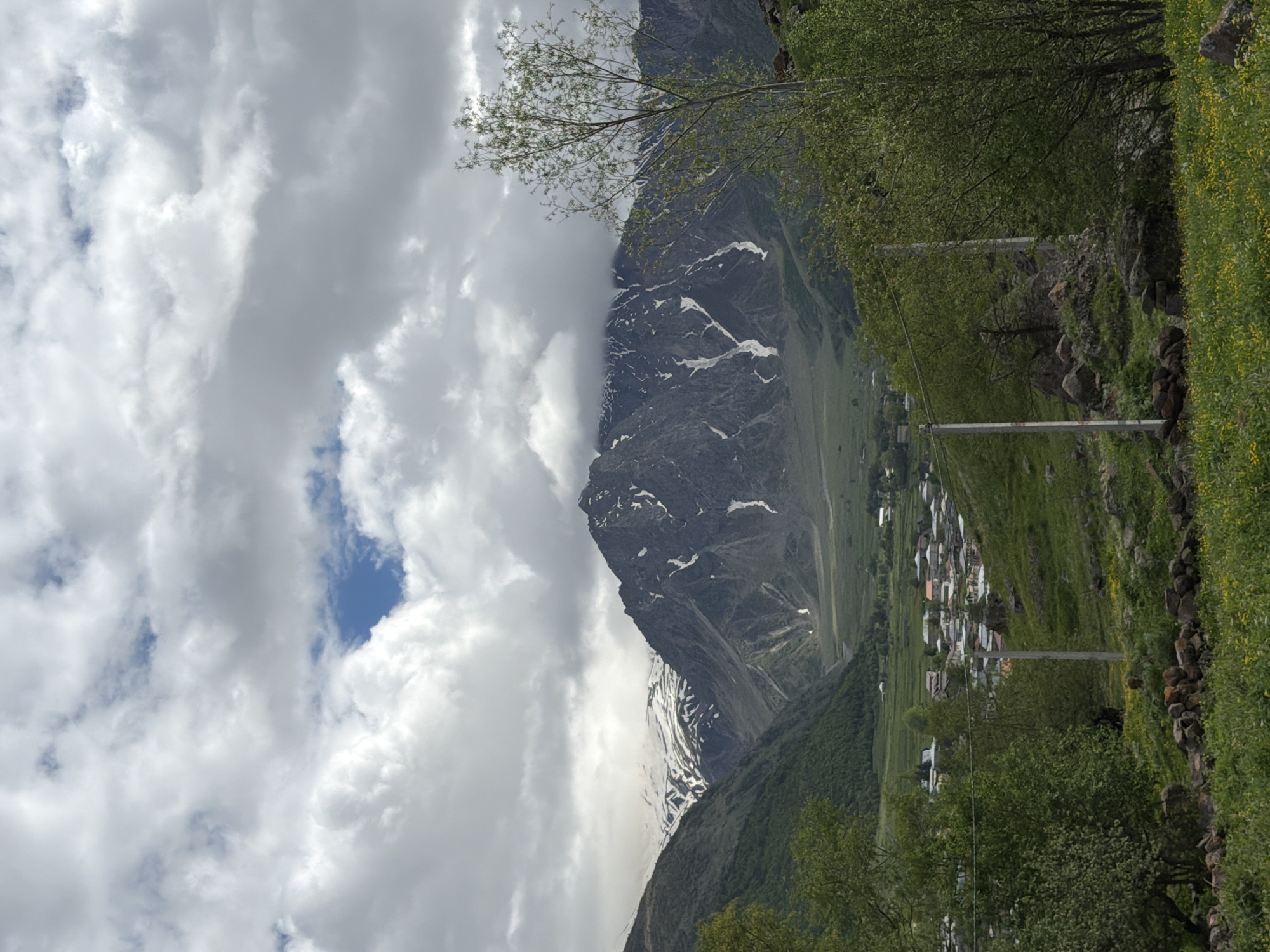 The image depicts a wide shot of a mountainous landscape with a village nestled in the valley. The sky is filled with dramatic, grey and white clouds, with patches of blue sky visible. In the foreground, a green, grassy slope is dotted with small yellow flowers and some scattered rocks. A stone wall runs along the bottom of the frame. To the right, a thin, leafy tree stands tall.
Further into the scene, a village with numerous houses with red roofs is visible in the middle ground, spread across a green valley. The village is situated at the base of the mountains. The mountains themselves are imposing, with rocky, dark grey slopes partially covered in snow, especially on the higher peaks. Some vegetation, appearing as dark green trees and shrubs, covers the lower slopes of the mountains. Power poles are visible in the mid-ground, indicating some infrastructure in the area. The overall environment suggests a rural, mountainous setting. Based on the description provided, the location is the city of Arsha, Georgia. There are no people or animals visible in the image.