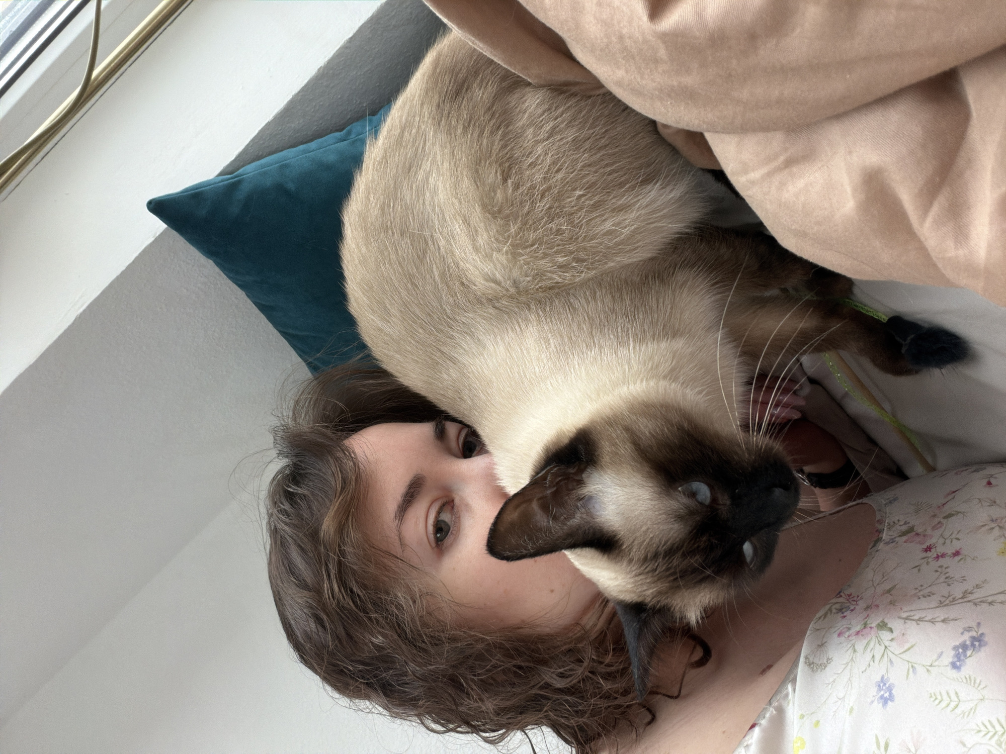 A woman with curly brown hair is lying on a bed, with a Siamese cat lying on top of her. The cat has a tan body with dark brown face, ears, paws, and tail, and blue eyes. The woman is wearing a white floral print top. A teal pillow is visible behind the woman's head. A tan blanket is partially covering the cat. A window with a gold rod is visible in the upper left corner. The location is Unknown, Unknown.