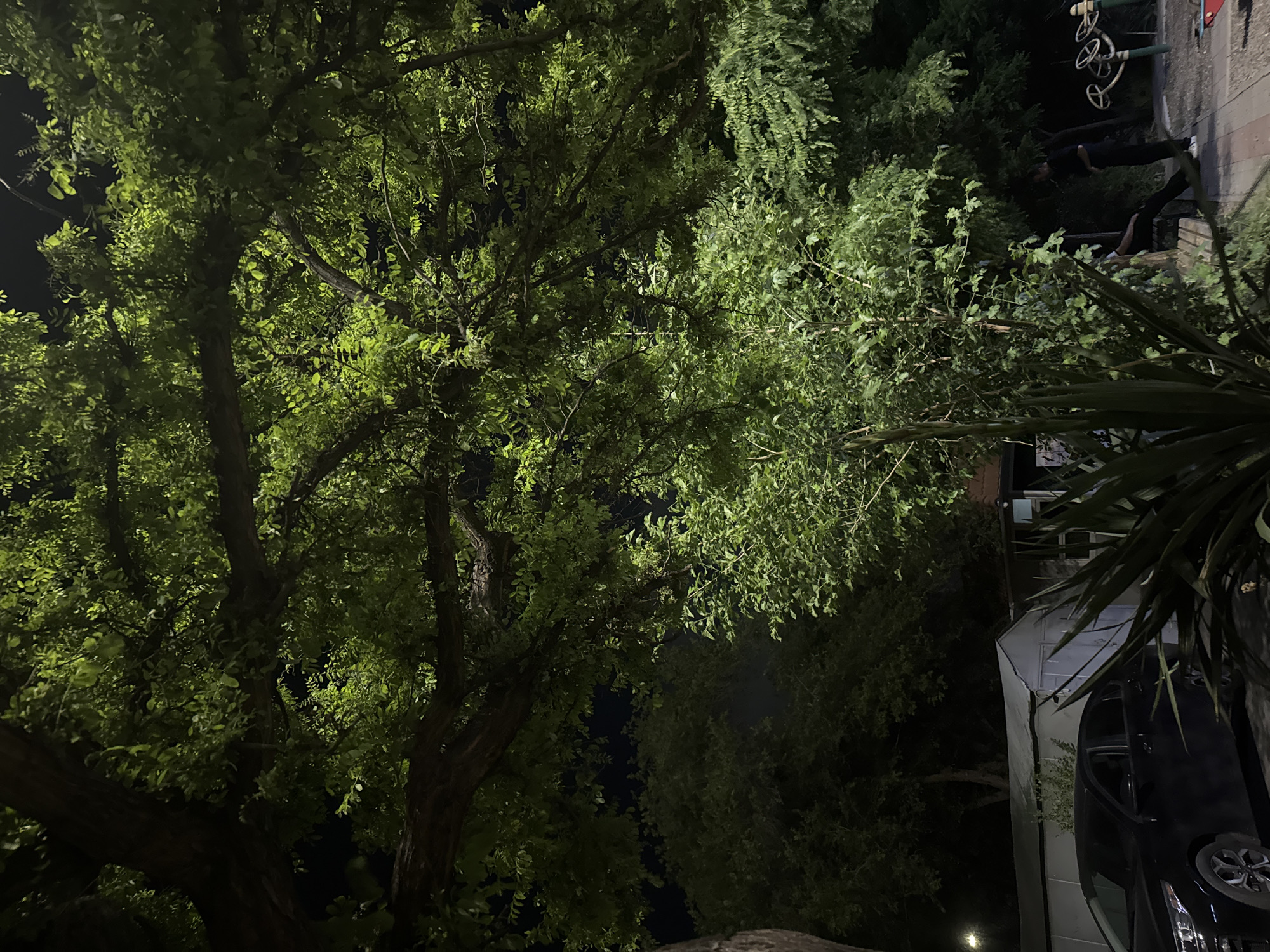 The image shows a nighttime scene in an urban area. There are several trees with dense green foliage filling much of the frame. In the upper right corner, there are exercise machines and two individuals. A car is visible on the right. The image lacks clear markers to pinpoint the location within Yerevan.