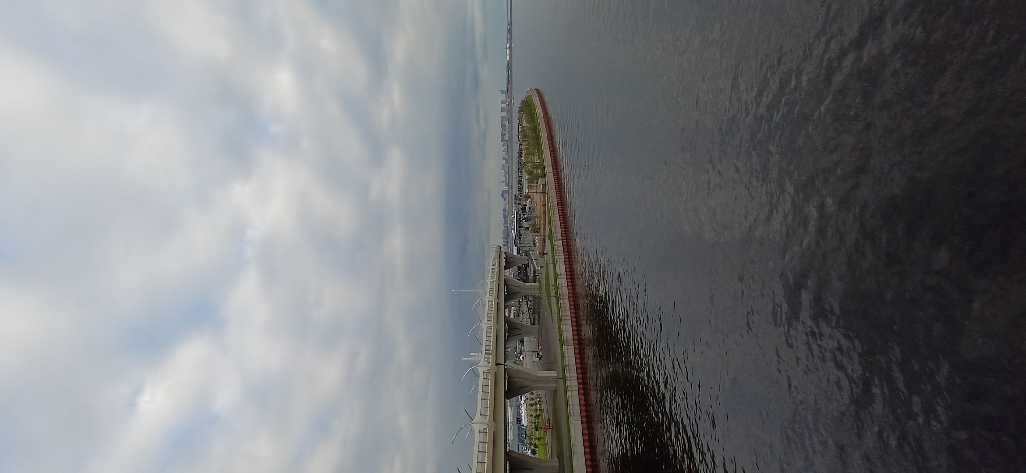 The image depicts an aerial view of a segment of the Western High-Speed Diameter (WHSD) highway in Saint Petersburg, Russia. The highway runs along the coast of the Gulf of Finland, with water visible to the right and a cloudy sky to the left. The highway structure itself features concrete supports and a red-and-white barrier along the shoreline. A thin strip of green vegetation and trees lines the coast between the highway and the water. In the distance, the city skyline can be observed, indicating the urban setting of the scene.