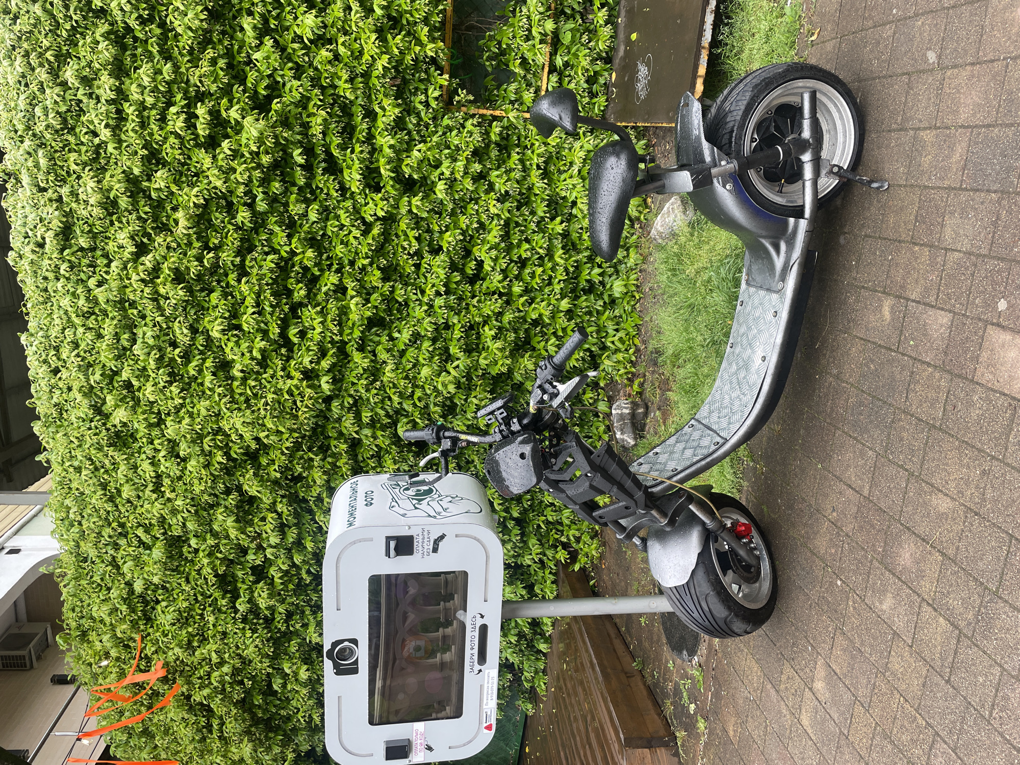 The image shows a gray electric scooter parked on a brick walkway, next to a photo booth-style machine. Lush green vegetation forms a dense backdrop. The photo booth is white and has Russian text on it, including the words "МОМЕНТАЛЬНОЕ ФОТО" (Instant Photo). Orange ribbons are visible on the left. The location is Sochi, Russia, as indicated by the Russian text.