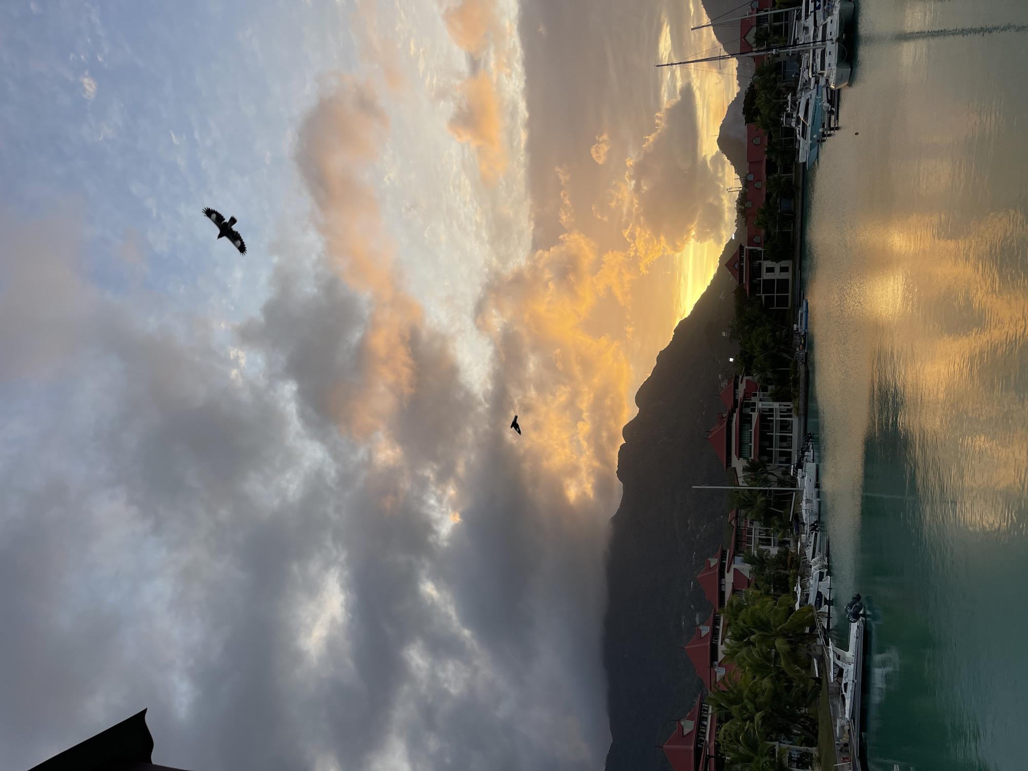 The image captures a scenic view of a marina at sunset in the city of Victoria, Seychelles. A prominent element is the vibrant sky, filled with a dramatic mix of grey and orange-hued clouds, illuminated by the setting sun. Two birds are silhouetted against the sky, one larger and higher, the other smaller and closer to the mountains.
In the foreground, a body of calm, turquoise water reflects the colors of the sky. Several boats of various sizes, including speedboats and sailboats, are docked along the waterfront.
Behind the marina, a row of resort-style buildings with distinctive red-tiled roofs is visible, interspersed with lush green palm trees. These buildings appear to be multi-story structures. Further in the background, a large, dark mountain range forms the backdrop to the scene, its peaks partially obscured by clouds. The overall atmosphere is tranquil and picturesque, showcasing the natural beauty and resort amenities of Victoria.
