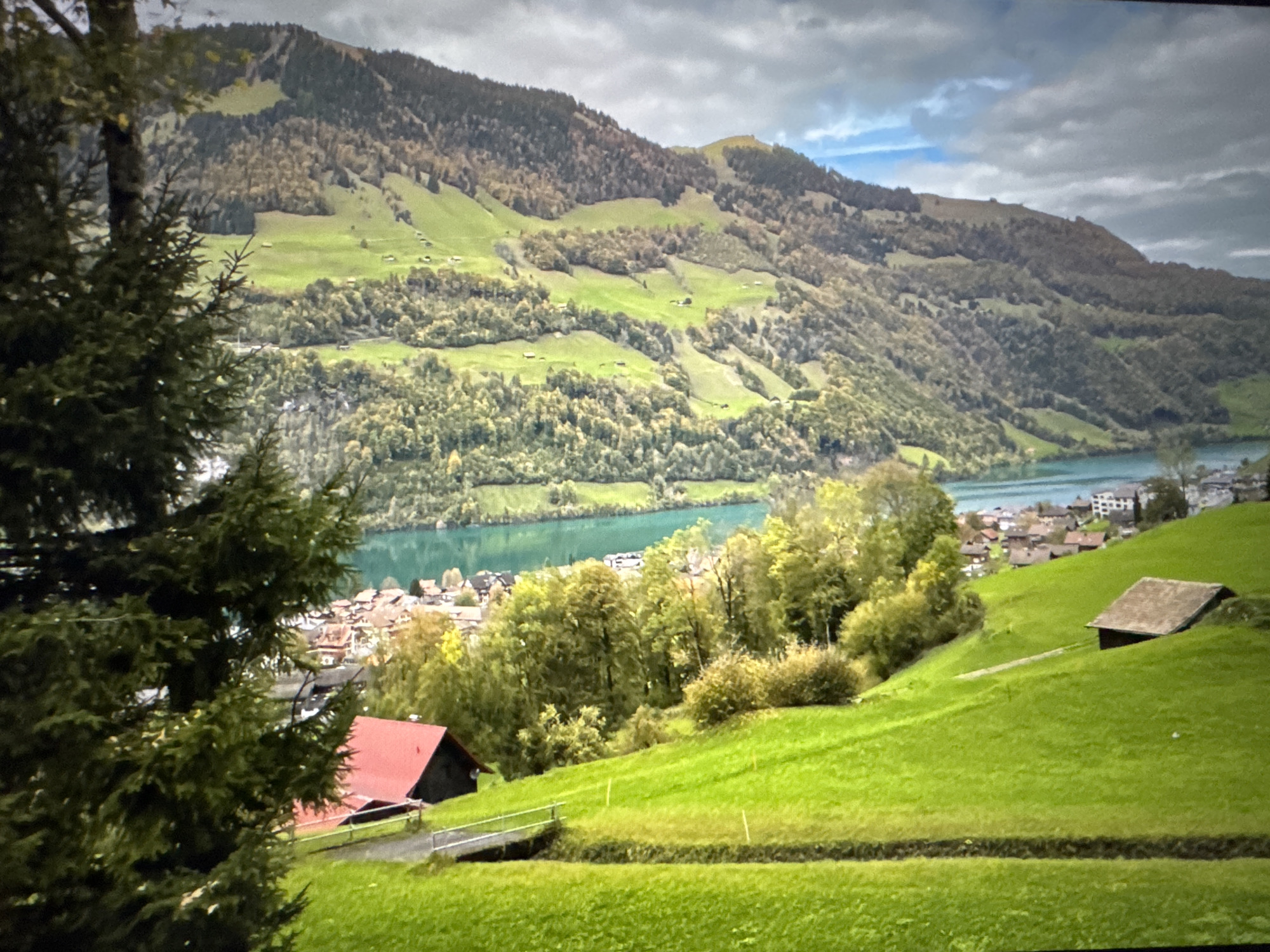 The image depicts a scenic landscape with a body of water, rolling green hills, and a mountain range in the background. In the foreground, a large evergreen tree partially obscures the view. A village with red-roofed buildings is nestled on the slope of a hill overlooking the water. A small, dark-colored barn with a brown roof is situated on a bright green grassy slope in the mid-ground. The sky is partly cloudy with patches of blue. The overall impression is one of natural beauty and tranquility. The location is identified as Porrentruy, Switzerland.