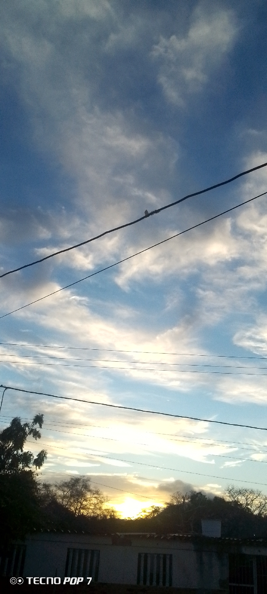 The image shows a view from a residential area in Altagracia, Venezuela. A light blue sky with streaky white clouds is visible. Several telephone or electrical wires stretch across the view. A small bird is perched on the topmost wire. The sun is setting, creating a bright glow on the horizon. In the foreground, the roof of a building with barred windows is visible. Trees with bare branches are silhouetted against the sunset. The image was taken with a Tecno Pop 7 phone.