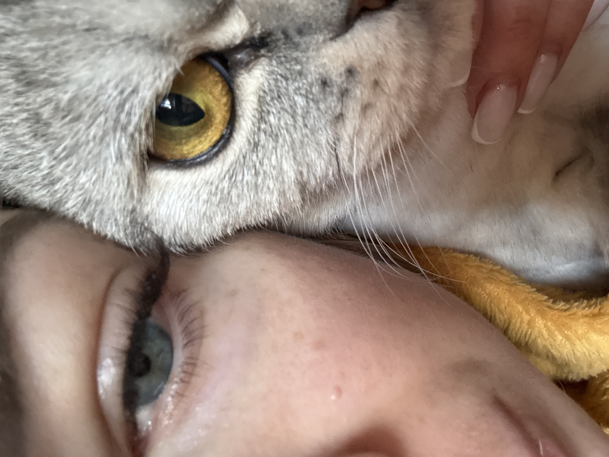 A close-up image shows a human eye (blue/gray iris) and the face of a cat (gold eye). A human hand is visible near the cat's face. A yellow, textured surface is also visible near the edge of the frame. The location is Unknown, Unknown.