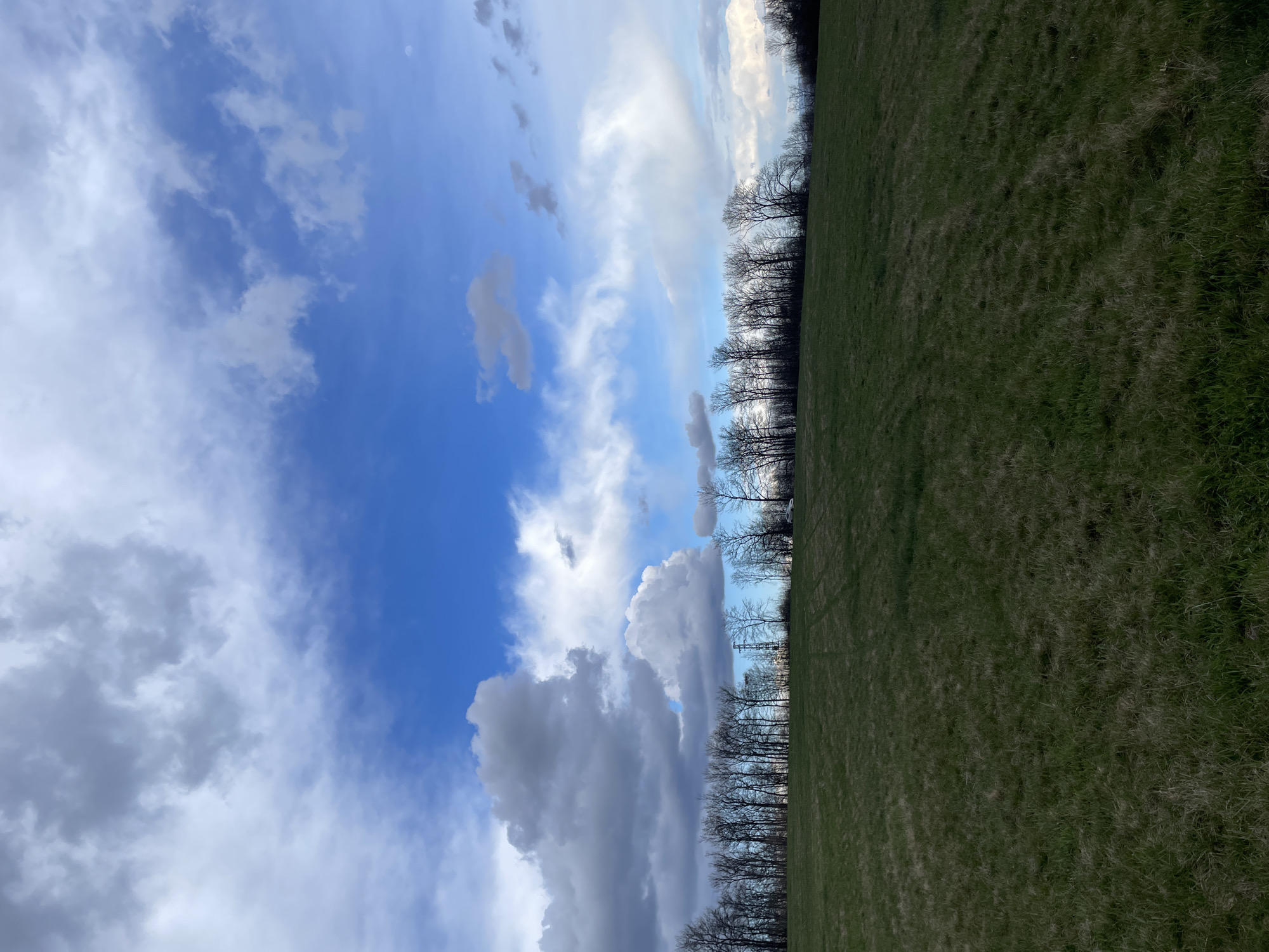 The image displays a wide-angle landscape scene captured in Bukovets, Bulgaria, under a partially cloudy sky. The foreground is occupied by an expansive, gently sloping field of short, green and brown grass, exhibiting faint linear patterns consistent with agricultural activity or vehicle tracks.
Along the midground, a dense line of leafless deciduous trees forms a dark, silhouetted horizon line, suggesting a late winter or early spring setting. A single utility pole or transmission tower structure is discernible among the trees, slightly to the left of the image's vertical center. To the far right, a white vehicle is partially visible on the crest of the land behind the tree line.
The sky, comprising approximately two-thirds of the image, features a mosaic of atmospheric conditions. The upper left quadrant is dominated by large, dense grey and white cumulus clouds. Towards the center and right, the sky transitions to a vibrant blue with scattered, thinner white clouds, some exhibiting wispy cirrus characteristics. No individuals or direct interactions are observed within the scene.