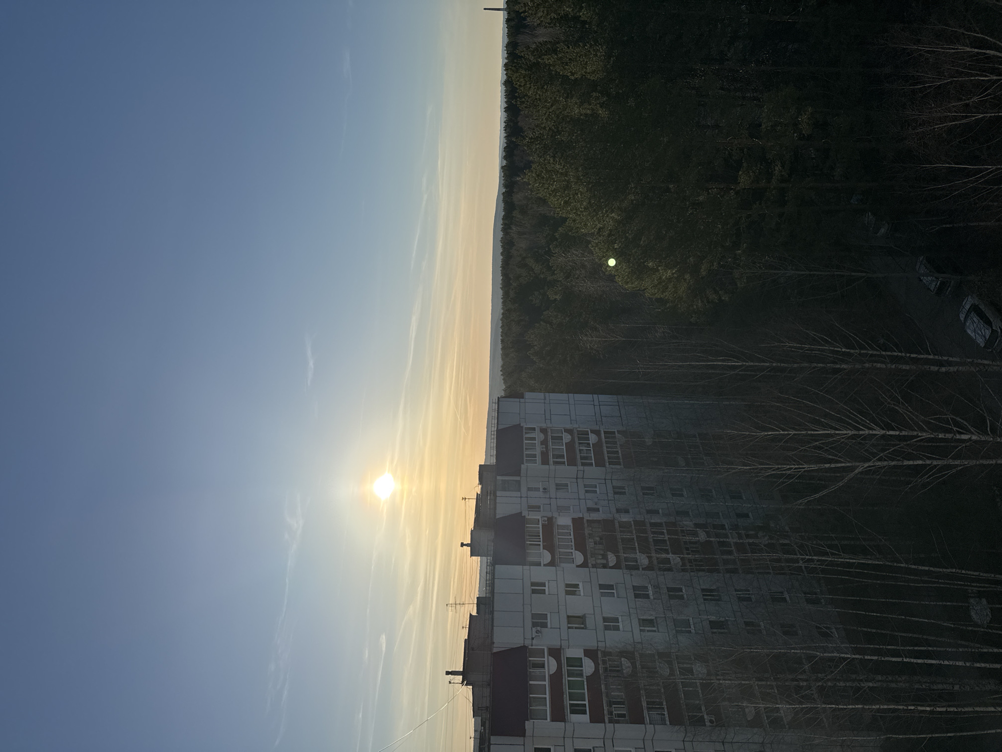 This image captures a serene urban-natural landscape, likely from a high vantage point such as an apartment window in Chaikovsky, Russia.
The scene is dominated by a vast sky, transitioning from a clear, deep blue at the top to a warm, golden-yellow near the horizon, illuminated by a bright, low-lying sun positioned on the left. Wispy clouds or contrails streak across the sky, catching the sunlight.
In the mid-ground, a multi-story apartment building features a facade of white, grey, and dark reddish panels, with numerous windows and balconies. To the right of the building, a dense forest extends towards the horizon, composed of dark green evergreen trees interspersed with bare deciduous trees, suggesting late autumn or early spring. A small, bright green circular anomaly is visible within the forest, possibly a lens flare or reflection.
Beyond the forest, the faint outlines of distant hills or a landmass are discernible on the horizon. A tall, slender structure, possibly a communication tower, barely breaks the horizon line above the trees in the upper right. Several parked cars are partially visible under the trees on the right, appearing darkened by shadows.
The time of day is indicated by the sun's low position, suggesting either early morning or late afternoon/early evening. The weather is clear and calm, with no signs of precipitation. No people are visible, and no specific activities are taking place, contributing to the tranquil atmosphere. There is no visible text in the image.