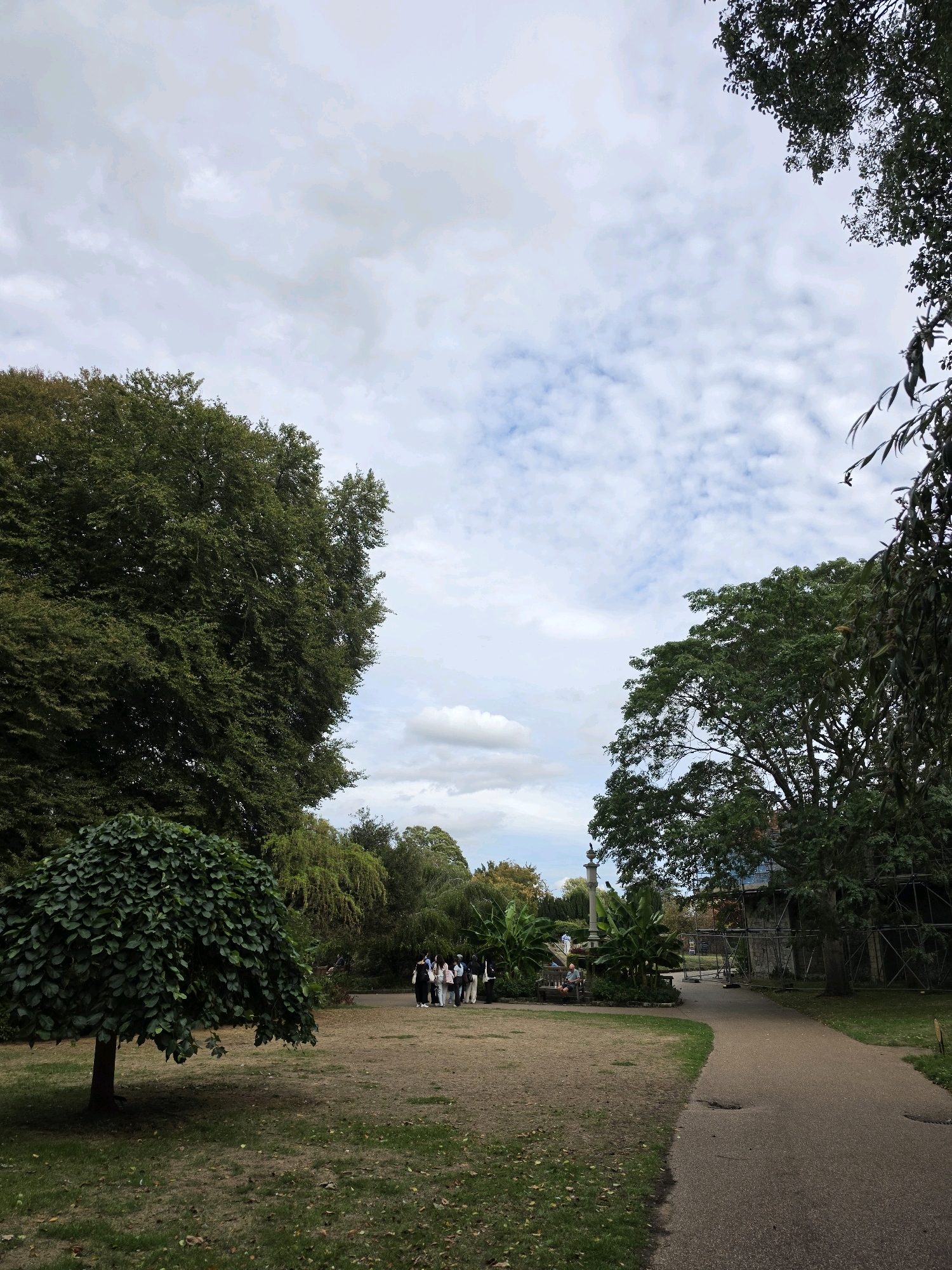 In West Suffolk, United Kingdom, a park scene unfolds under a partly cloudy sky. The foreground features a patch of dry, sparse grass dotted with fallen leaves, with a uniquely shaped, full-foliaged tree to the left casting a shadow. A paved path curves through the scene from the right towards the center-left. In the mid-ground, a group of approximately six individuals, dressed casually, are walking away from the camera on the path, some carrying bags. To their left, a bench is occupied by one person sitting and looking towards the left. Behind them, a monument or pillar stands, flanked by large banana-like plants. Further in the background, a building is partially obscured by scaffolding and trees. The scene is dominated by large, mature trees with dense green foliage framing the sky.