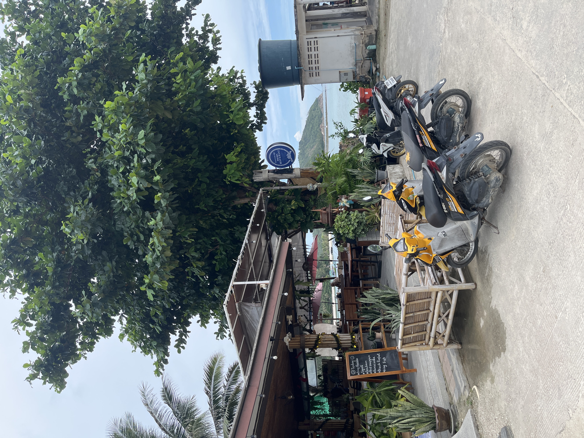 The image depicts an outdoor scene in Ko Pha Ngan, Thailand, likely a restaurant situated near the coast. A large tree with dense green foliage dominates the upper portion of the frame, with a clear sky visible beyond it. In the foreground, a beachfront restaurant with an open-air seating area is visible. Several tables and chairs, some made of bamboo, are arranged under a covered patio. A blackboard with a handwritten menu, listing seafood items like "Squid," "King Prawn," "Sea Bass," "Red Snapper," "Barracuda," "Black Pomfret," and "King Fish," stands near the entrance.
Several scooters are parked on a concrete ground in front of the restaurant. Two yellow and black scooters are positioned prominently in the lower part of the image, while a white and black scooter is parked further back. In the background, the turquoise ocean stretches towards a lush green island, with a few boats visible on the water. A simple white building with a large blue water tank on its roof is situated to the right of the restaurant. The overall atmosphere suggests a casual, tropical dining setting.
