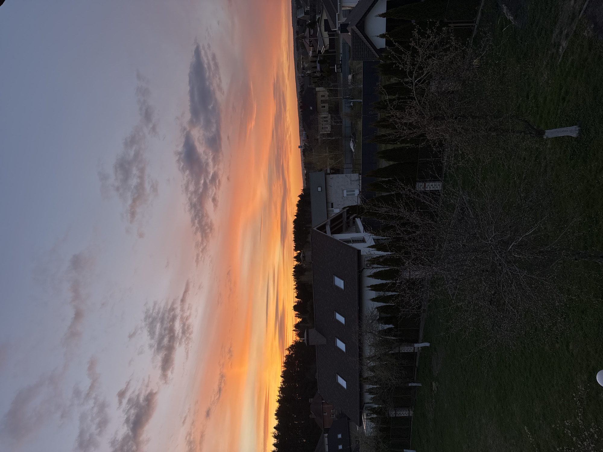 The image displays a panoramic view of a residential landscape at either sunset or sunrise, given the vibrant colors of the sky. The upper portion of the frame is dominated by a dramatic sky, streaked with intense oranges, yellows, and pinks that fade into softer purples and blues higher up. Scattered grey and white clouds are present across the sky, particularly noticeable in the cooler-toned areas.
Along the horizon, a dense line of dark trees forms a silhouette against the bright sky, suggesting a distant forest or treeline. In the middle ground, several residential houses are visible, characterized by dark, sloped roofs—some featuring multiple skylight windows—and light-colored exterior walls. These homes are interspersed with deciduous trees whose branches are bare, indicating either late autumn or early spring, and neat rows of evergreen hedges.
The foreground shows a dark green grassy area, likely a lawn or garden, with more sparse, leafless trees and shrubs. The overall lighting is subdued yet colorful, creating a tranquil and picturesque scene. There are no people visible, nor are there any discernible activities taking place. The setting appears to be a suburban or rural area, consistent with the provided location context of Ждановіцкі сельскі Савет, Belarus. No visible text is present in the image.