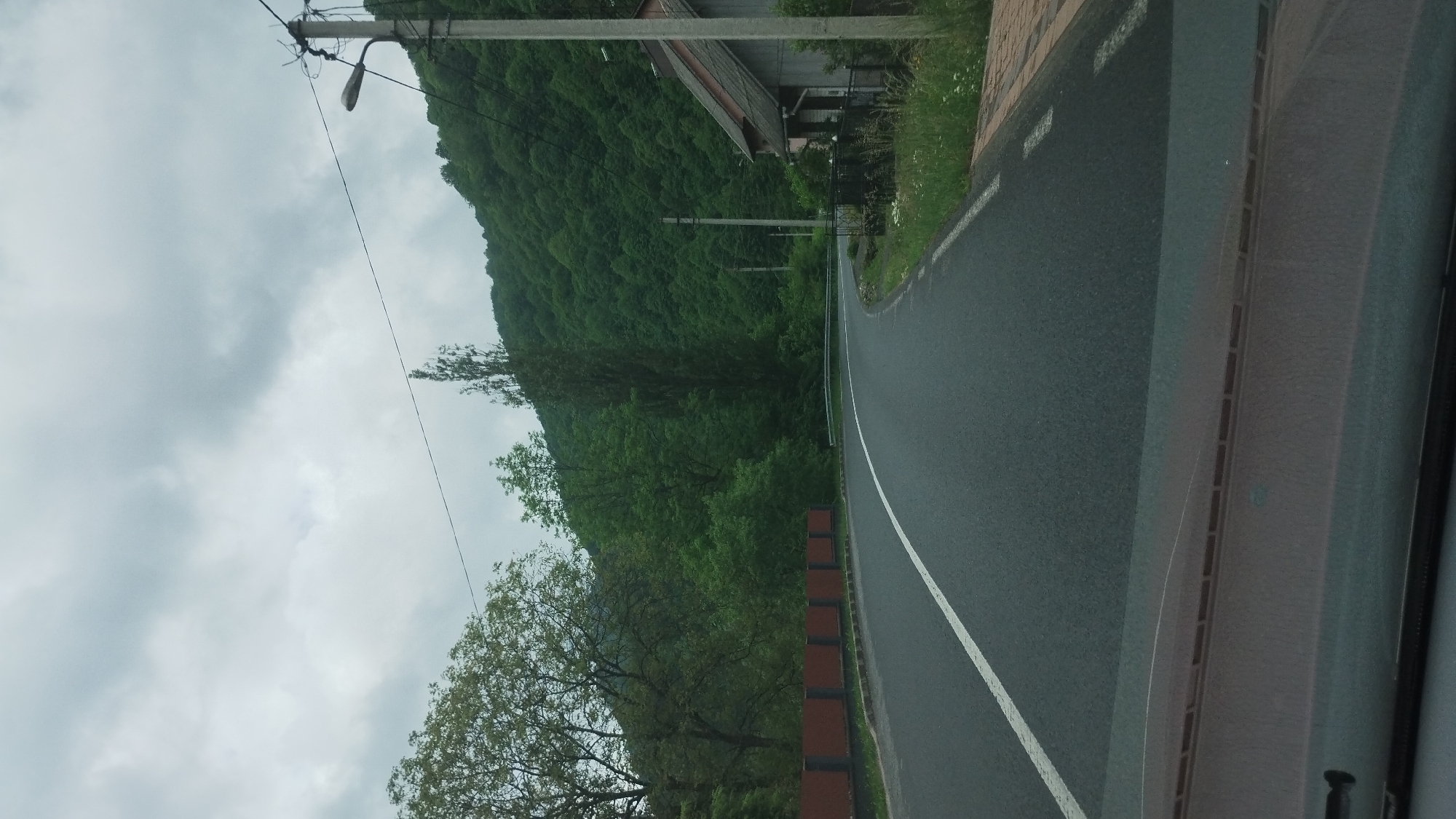 The image shows a view from inside a vehicle traveling along a road that curves to the right. The road is paved and has a white line marking the edge. To the left of the road, a steep, densely forested hill rises, covered in vibrant green trees. The sky is overcast with gray clouds, suggesting a cloudy day.
In the foreground, on the right side of the frame, the interior of the vehicle is visible, including a portion of the dashboard or side panel. The left side of the image shows a utility pole with wires and a street lamp. There are also some buildings partially visible on the hillside, peeking through the trees. A wooden fence or barrier with reddish-brown sections runs along the right edge of the road.
The overall scene depicts a scenic drive through a rural or mountainous area, likely in Ukraine given the location context. The weather appears cool and damp. There is no text visible in the image. The image is oriented vertically.