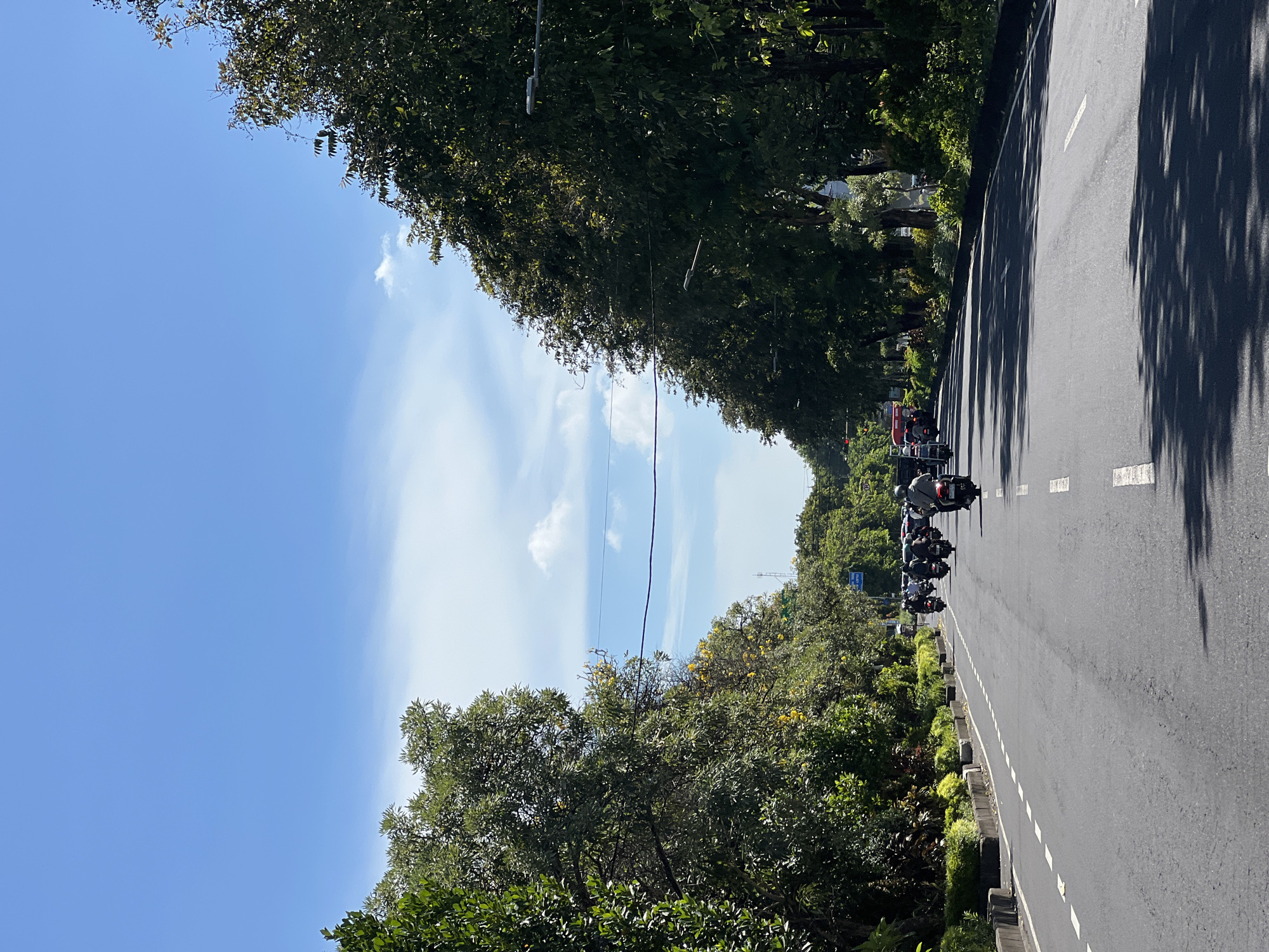 The image displays a sunny daytime scene on a tree-lined road in Denpasar, Indonesia. The asphalt road, marked with white dashed and solid lines, stretches into the distance, framed by dense green foliage on both sides, creating a tunnel-like effect. The bright blue sky overhead features scattered white clouds, with thin power lines visibly strung across it.
On the right side of the road, several motorcyclists, some with riders, are seen moving or waiting in a line. Tree shadows are prominently cast across this side of the road, indicating direct sunlight, likely during morning or early afternoon. Further down the road, other vehicles, including a car and a red vehicle (possibly a truck or bus), are visible.
A low concrete barrier or median, adorned with smaller plants and greenery, runs along the left side of the road. Amidst the trees on the left side, a blue rectangular road sign with white symbols is partially visible in the mid-distance, though its text or specific symbols are indistinguishable. The scene depicts a common urban or suburban road environment in a tropical setting, characterized by active traffic and lush vegetation.