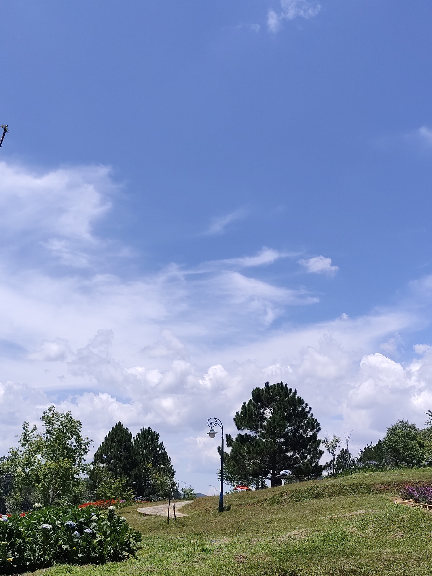 The image depicts a park scene in Da Lat, Vietnam. The foreground features a grassy hill with several trees. A path winds through the park. In the background, a clear blue sky is filled with fluffy white clouds. A vintage street lamp stands in the middle of the landscape. Flowers are planted around the area.