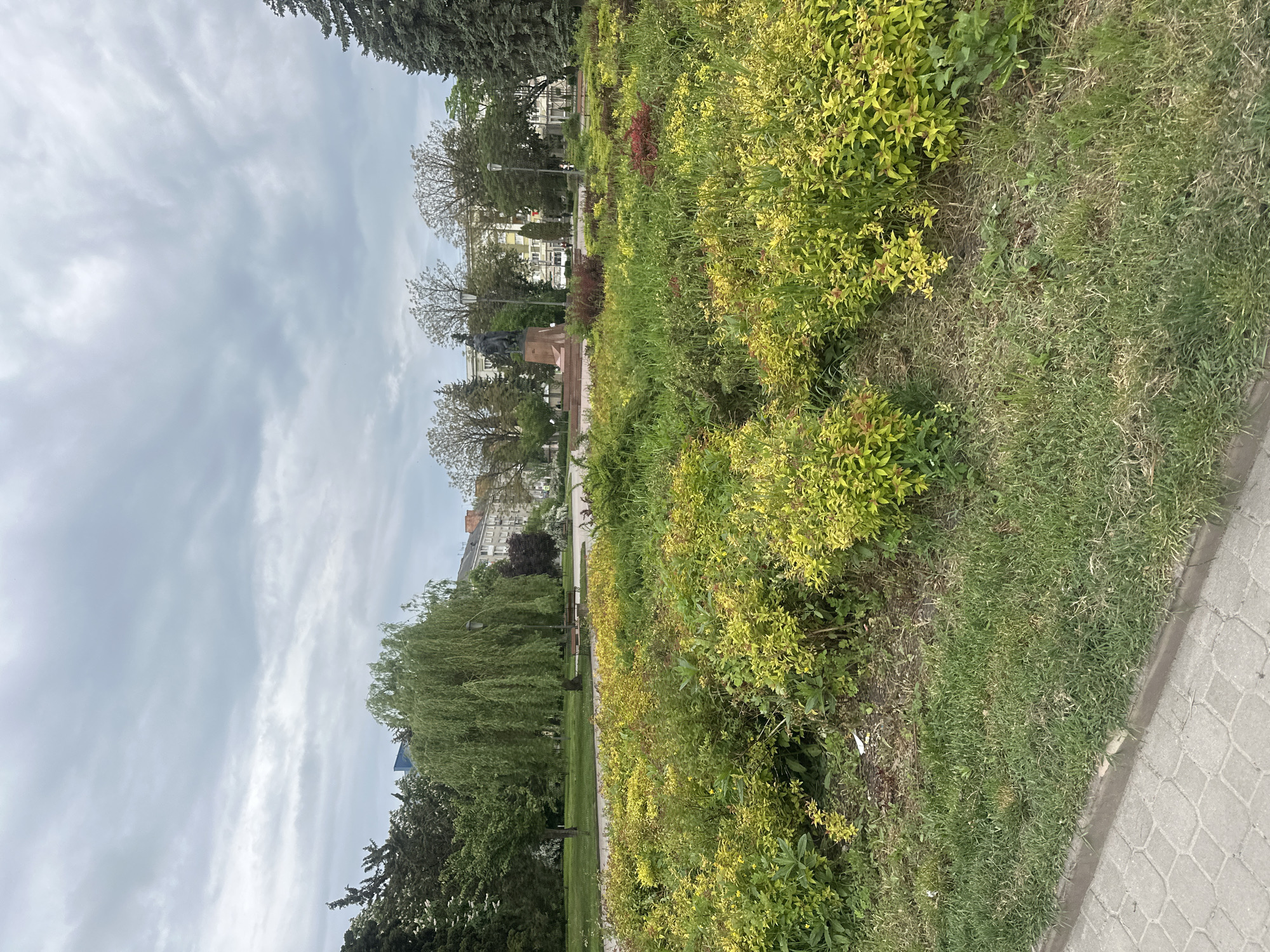 The image depicts a park scene in Ternopil, Ukraine. A paved pathway runs along the right side of the frame, bordering a grassy area with bushes and small trees. In the distance, a statue on a pedestal is visible amidst taller trees and buildings. The sky is overcast. The environment is urban, blending nature with city structures. There are no discernible people or interactions in the frame.