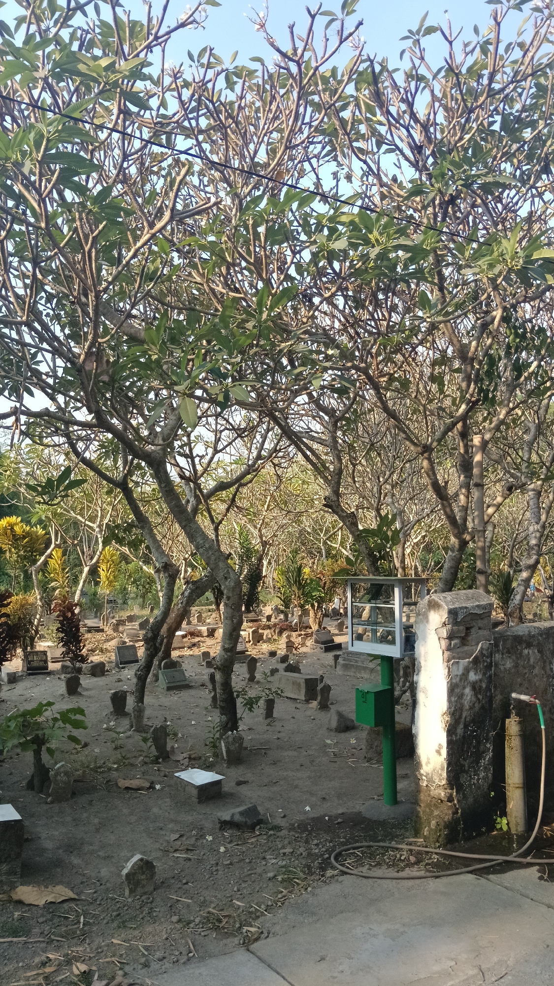The image depicts a cemetery scene in the city of Slumbung, Indonesia. Several gravestones, varying in size and shape, are scattered across a dusty, unpaved ground. Lush green trees with thick branches and sparse leaves dominate the upper portion of the image, their trunks appearing weathered and textured. In the foreground, a concrete structure with a faded, rough surface stands to the right, adorned with a green hose connected to a pipe. A small, green structure and a white box with a transparent front are also visible, suggesting a utility or information post. The background reveals more trees and vegetation, creating a dense, natural setting. The overall ambiance is one of quietude and natural overgrowth.