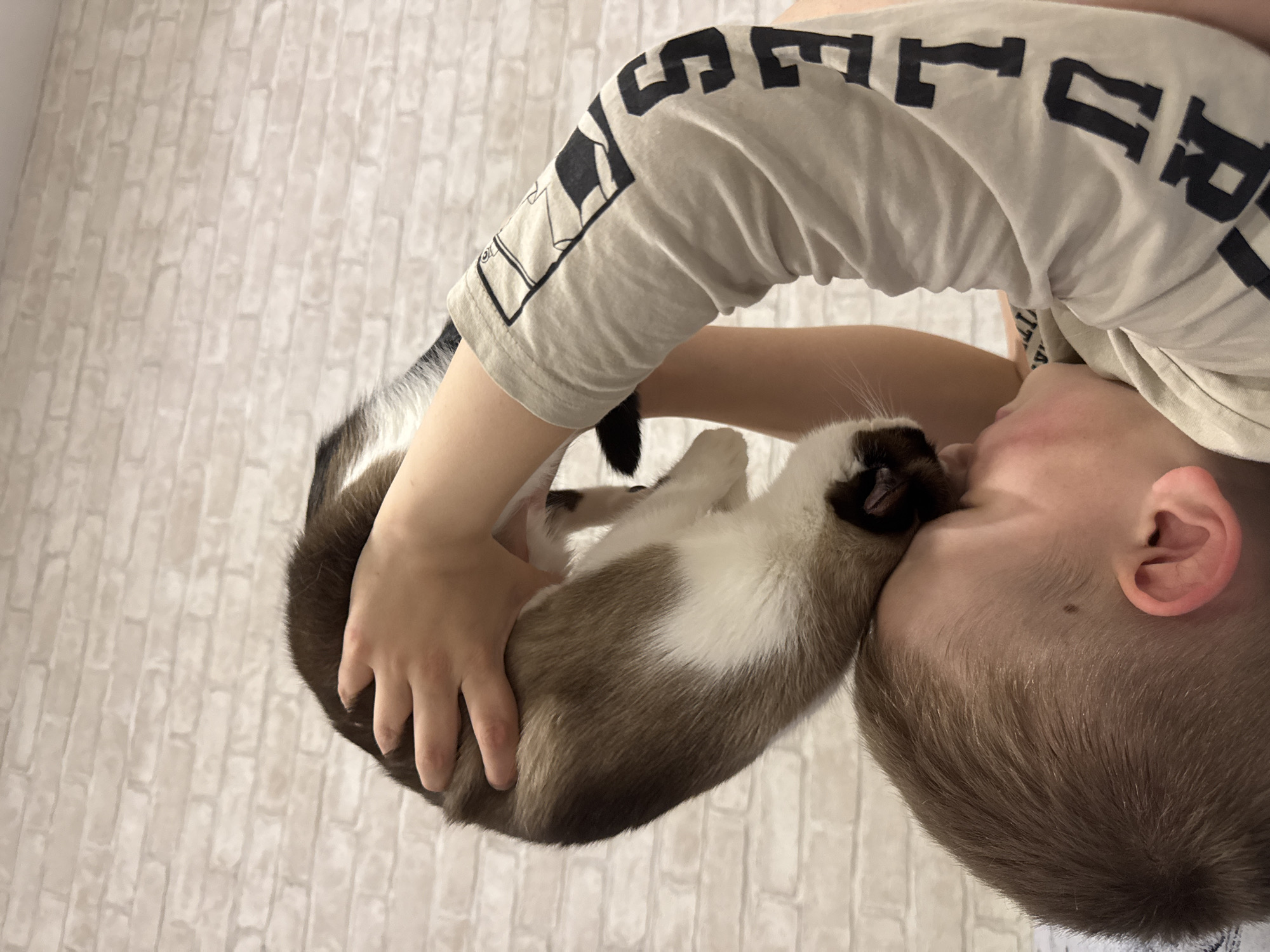 A person is holding a Siamese cat. The person is fair-skinned with short brown hair, wearing a light-colored t-shirt with black text and designs on the sleeves. They are holding the cat in their arms, the cat's head near their face. The cat has a light brown body with darker brown points and white markings. The background is a textured, light-colored wall, resembling brick. The location and the city of Chaikovsky, Russia are not discernable from the provided image.