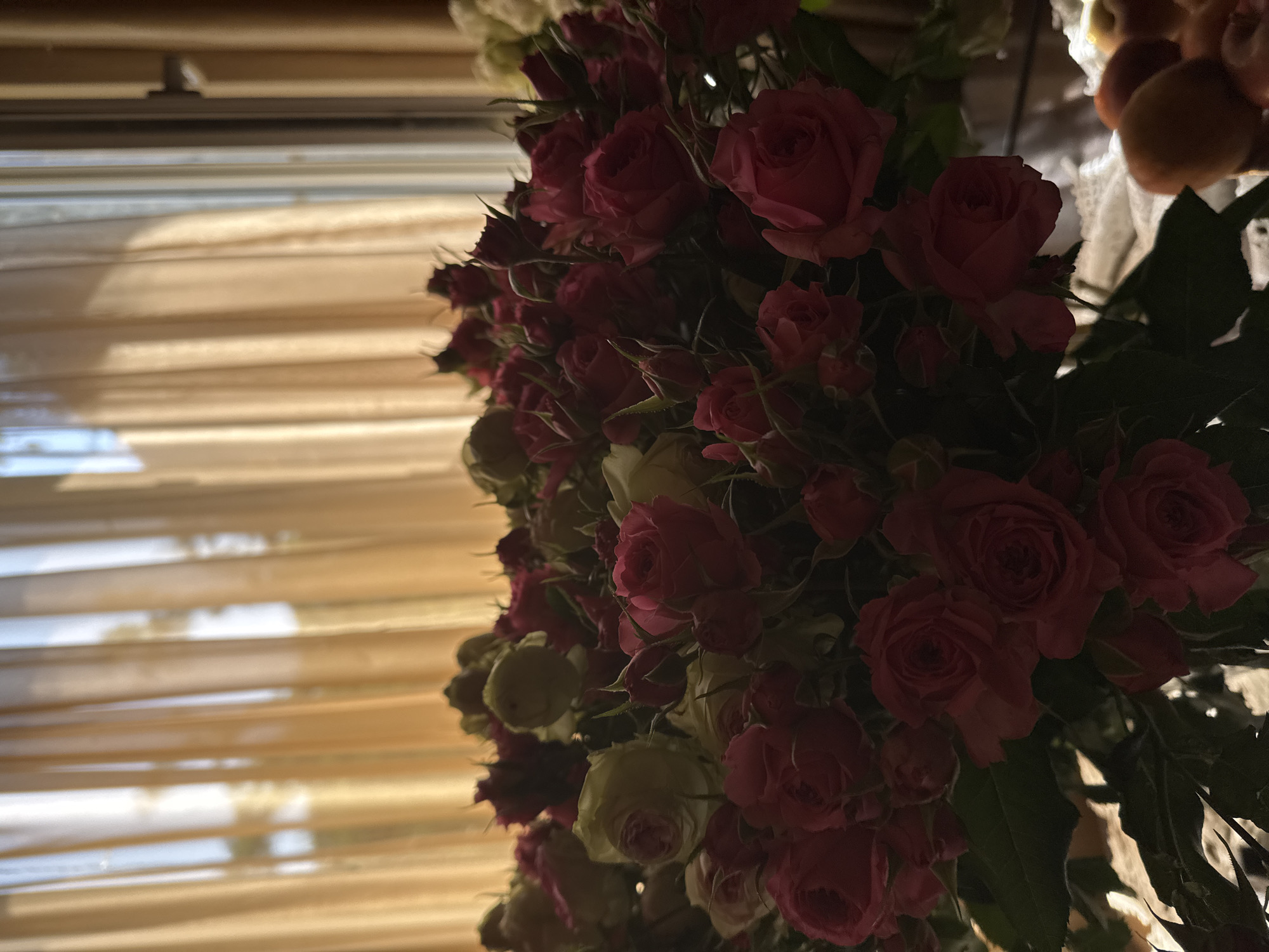 The image shows a close-up of a bouquet of red and white roses with green leaves, placed in front of sheer, gold-colored curtains that are illuminated by natural light streaming in from a window. The curtains are draped and create a soft, diffused background. The roses are tightly packed, with some fully bloomed and others in bud. The lighting suggests it is daytime. The scene appears to be indoors, possibly in a home or a florist shop. No people are visible in the image. The location in the city of Avan, Armenia is not explicitly depicted or inferable from the image itself.