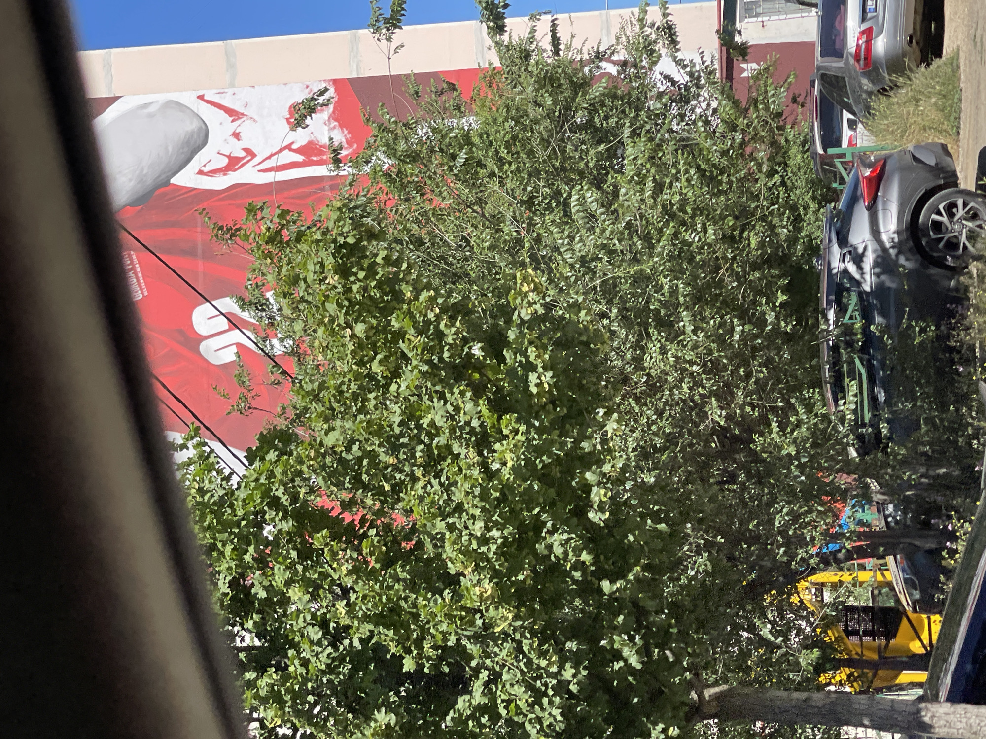 The image depicts a mural on the side of a building in Tbilisi, Georgia. The mural features a large red design with a white number "20" prominently displayed. Above the "20", text reads "GEORGIA RUGBY" and "EUROPEAN CHAMPIONSHIP 2017". A section of a white shape, possibly representing a person's head and shoulder, is visible on the right side of the mural. The building itself appears to be a multi-story structure with pale pink and beige sections and windows. In the foreground, lush green trees partially obscure the mural. Beneath the trees, several cars are parked, including a dark grey hatchback and a silver sedan. The scene is illuminated by bright sunlight, suggesting it is daytime. The overall impression is an outdoor urban environment.