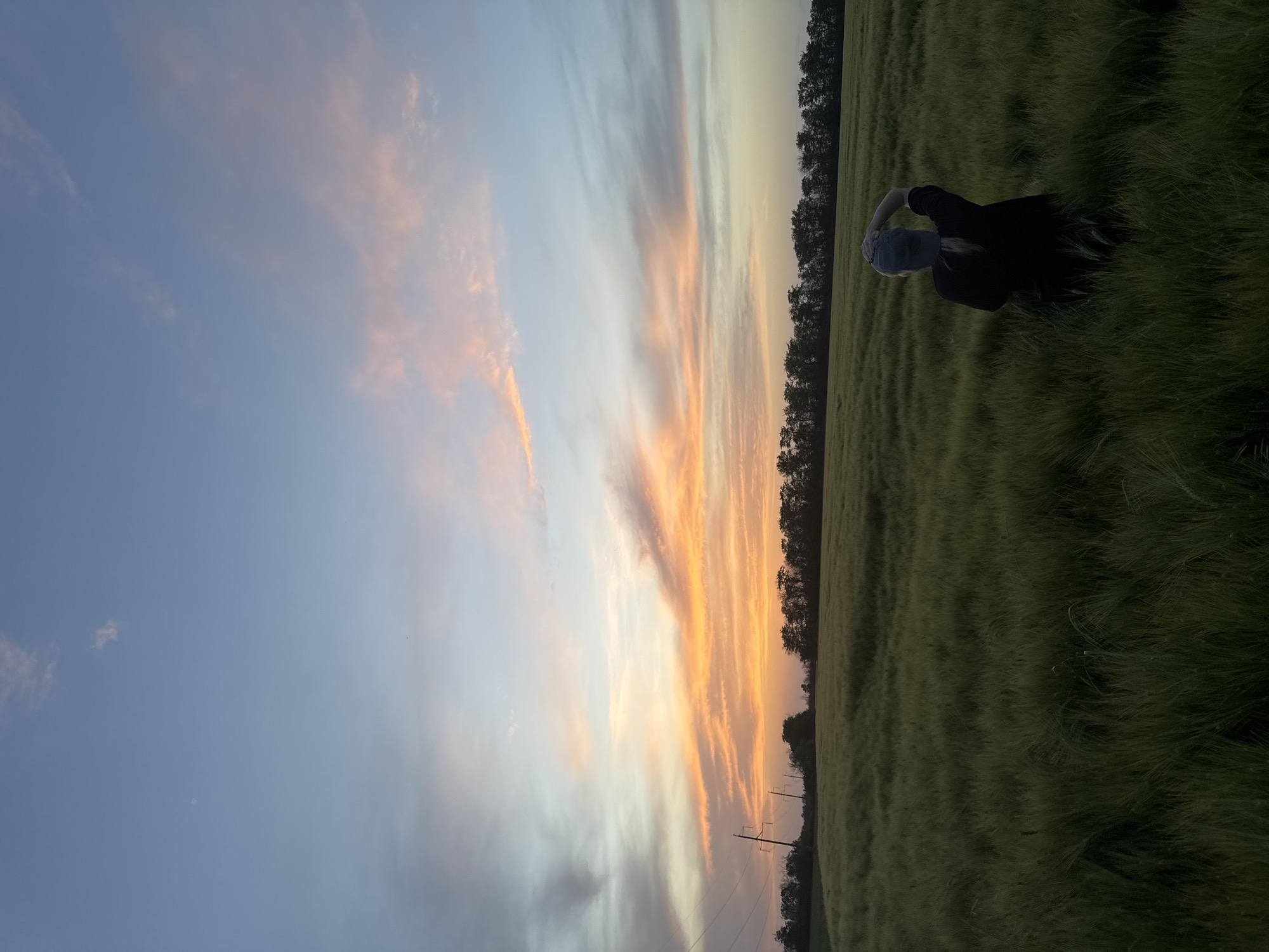 A person is standing in a field of tall green grass. They are wearing a dark-colored top, and a light-colored hat or head covering. The person's position relative to the camera is slightly oblique, with their upper body and head visible. The background consists of a row of trees, a vibrant sunset with orange and yellow clouds, and a gradient of blue sky. Power lines are visible in the lower portion of the sunset. The image is presented in a rotated orientation. The specific location in the city of Beysug, Russia, is not discernible from the image alone.