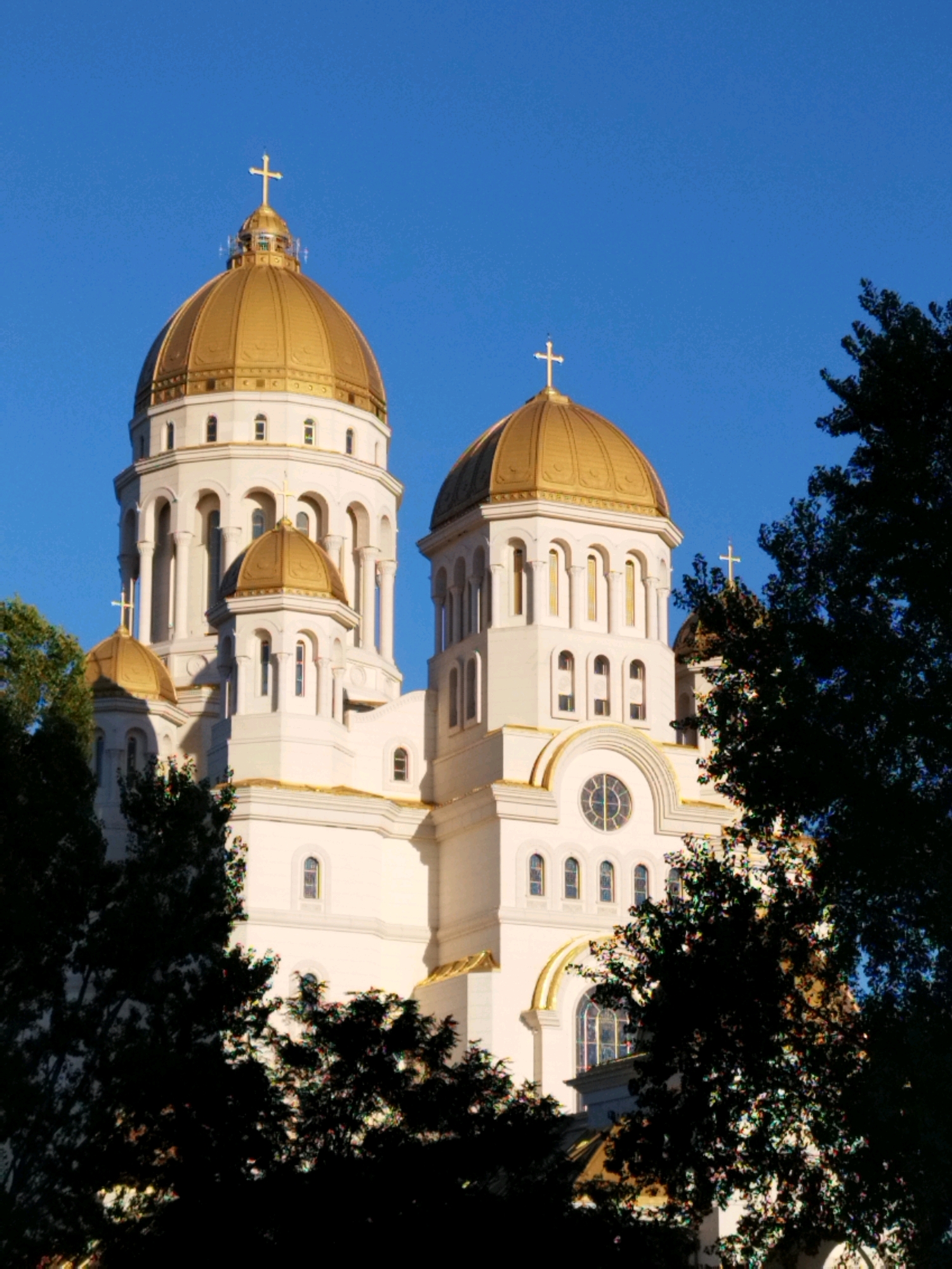 The image shows the People's Salvation Cathedral in Bucharest, Romania. It is a large, white Orthodox cathedral with golden domes and crosses. The cathedral is framed by dark green trees in the foreground. The sky is clear and blue. The cathedral features multiple towers and domes of varying sizes, all adorned with golden elements. The architectural style is grand and ornate, with arched windows and decorative columns visible on the facade. The lighting suggests it is either early morning or late afternoon, with the sun casting shadows and highlighting the golden domes. There are no people visible in the image.