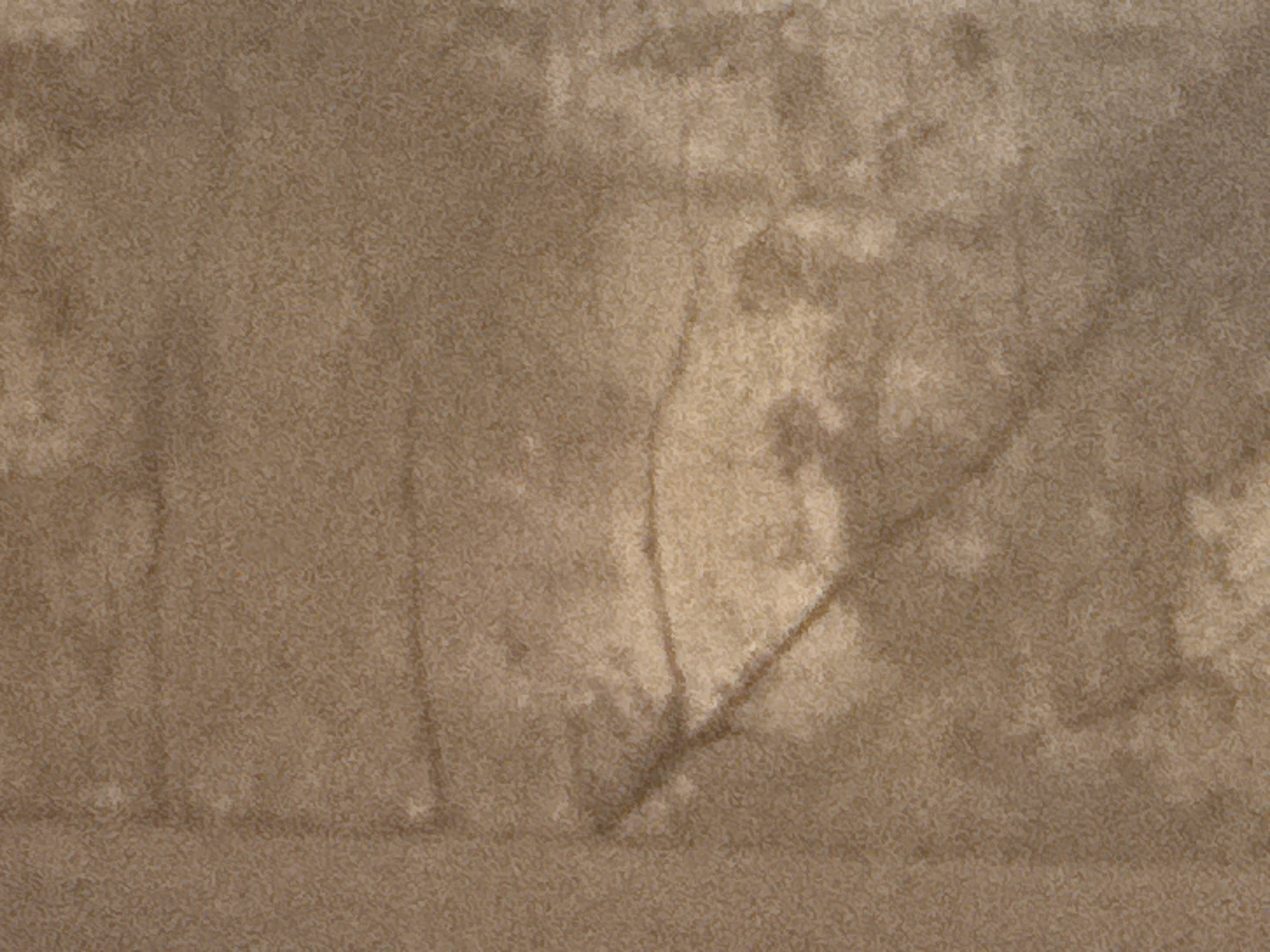 The image is an abstract, close-up view of a textured, mottled surface in shades of brown and beige. The texture appears granular, with lighter and darker patches creating a subtle, almost Rorschach-like pattern. There are darker, thin, linear shapes visible in some areas, resembling branches or cracks, particularly in the right half of the image. These linear elements are not sharply defined and seem to be part of the surface texture or a subtle overlay. The lighting is diffused, with some areas appearing brighter than others, suggesting uneven illumination or natural variations in the material. The overall impression is of a weathered, organic surface, possibly stone, aged wood, or a textured fabric. There are no discernible people, animals, or identifiable objects. The context provided, stating the image is from Bohunove, Ukraine, does not translate into visual information that can be discerned from the image itself.