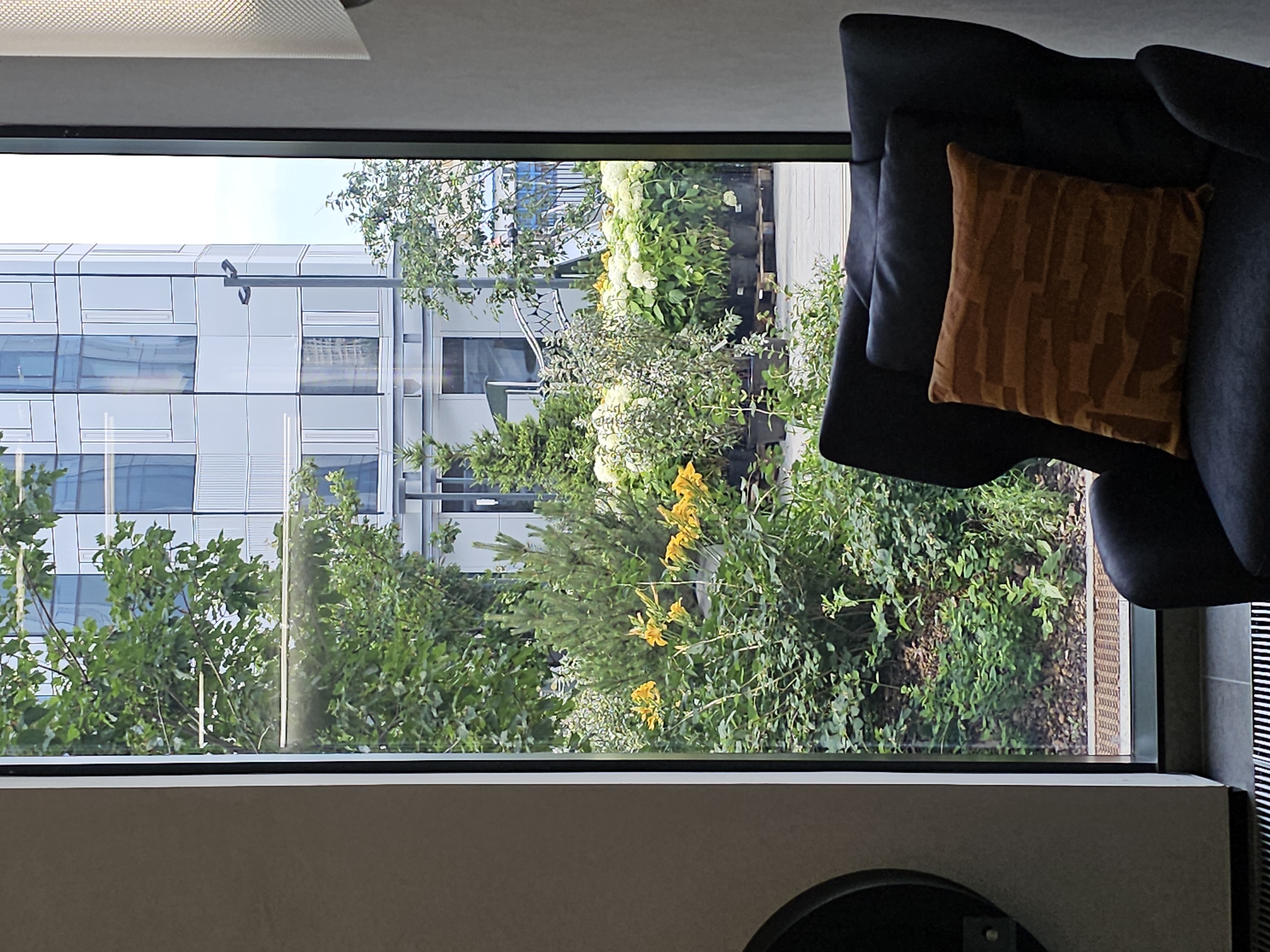 The image depicts a view through a window onto a garden with a modern building in the background. The garden features lush green foliage, including trees, shrubs, and potted plants with white and yellow flowers. Several potted hydrangeas are visible. In the foreground, a dark gray armchair is positioned, adorned with two cushions: a dark gray one behind a smaller, brown cushion with a textured geometric pattern. The window frame is black and modern. The building in the background is a contemporary structure with a facade of alternating light gray and white rectangular panels. A streetlamp with a modern design stands in front of the building. The scene suggests an urban setting, likely in Moscow, Russia, where modern architecture and green spaces are integrated. There are no people visible in the image.
