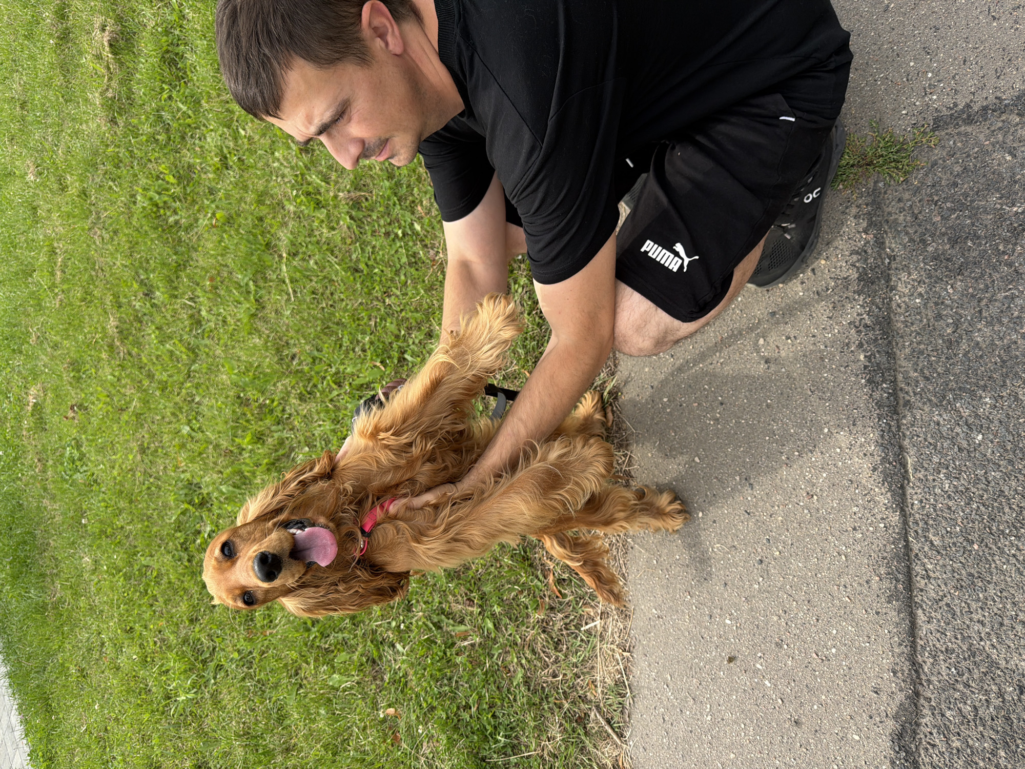 A medium shot shows a man in a black Puma t-shirt and shorts kneeling on the right side of the frame, holding up a light brown Cocker Spaniel dog in front of him. The dog is facing the camera, with its tongue out and paws raised. The man's right arm is supporting the dog's hindquarters, and his left hand is holding the dog's front legs. The background is a grassy lawn. The image was taken in Minsk, Belarus.