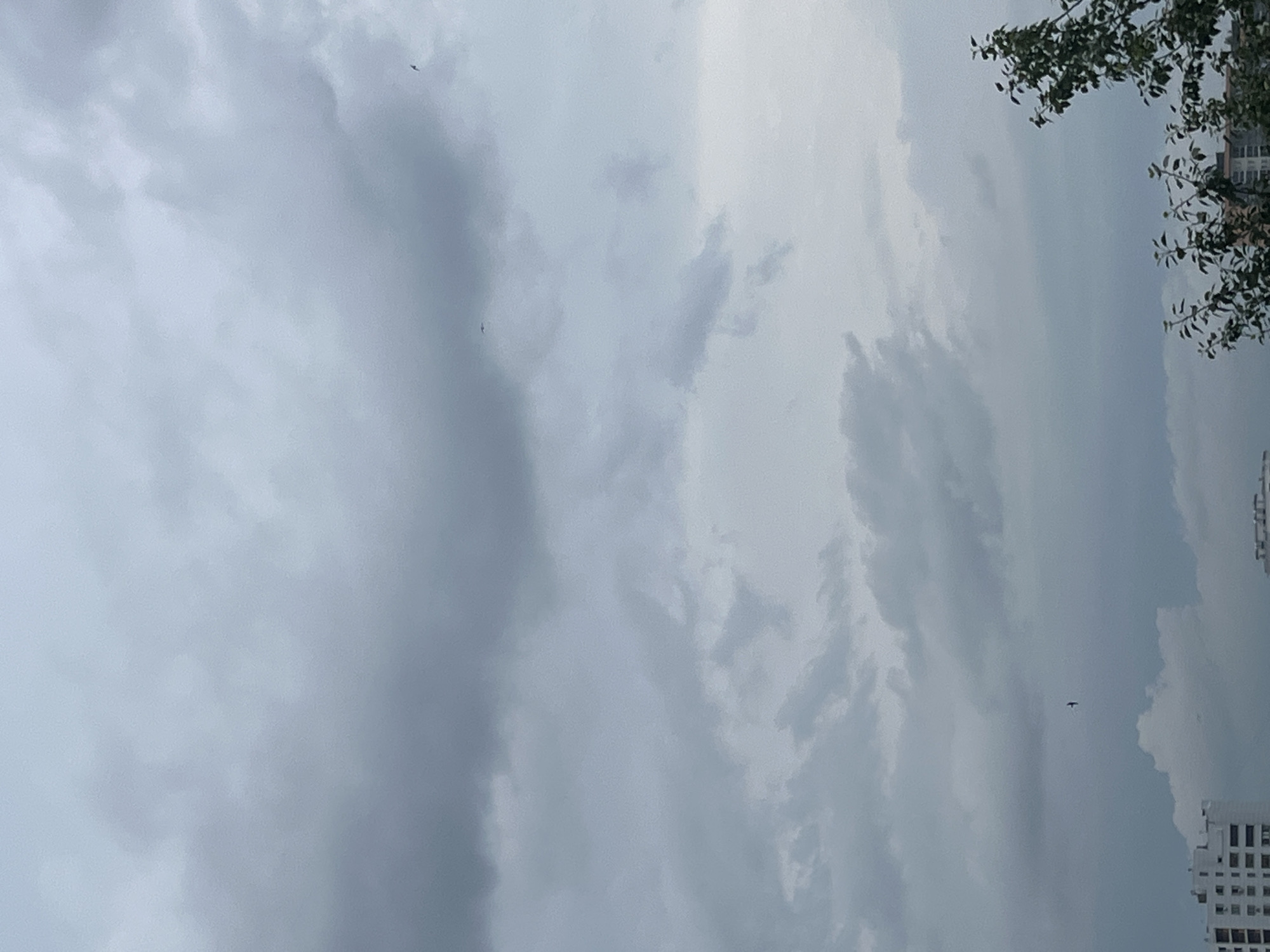 The image depicts an overcast sky with a building and some foliage in the foreground. There are at least three birds in flight, visible as small dark silhouettes against the gray clouds. The building appears to be modern with multiple windows. The overall atmosphere is somber due to the cloudy sky. The specific location in Chelyabinsk, Russia, cannot be determined from the visual information alone.