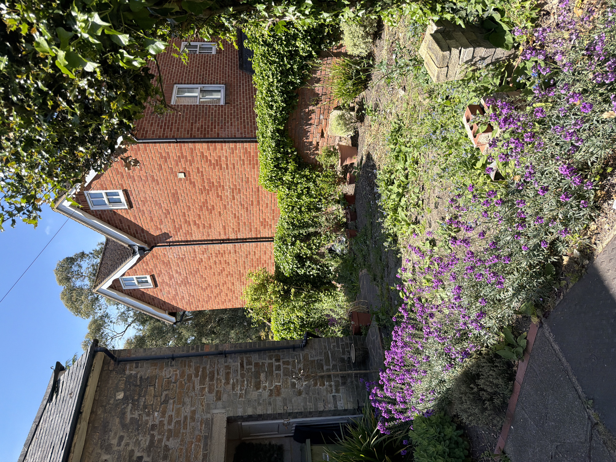 The image captures a view of a garden and residential buildings, likely located in Guildford, United Kingdom. The garden features a variety of plants, including vibrant purple flowers in the foreground. A brick wall overgrown with greenery runs along the side of the garden. Adjacent to the garden are two residential buildings, one constructed of brick with visible windows and roofing, and the other appears to be made of stone with a doorway visible. The sky is clear, and the lighting suggests it is daytime.