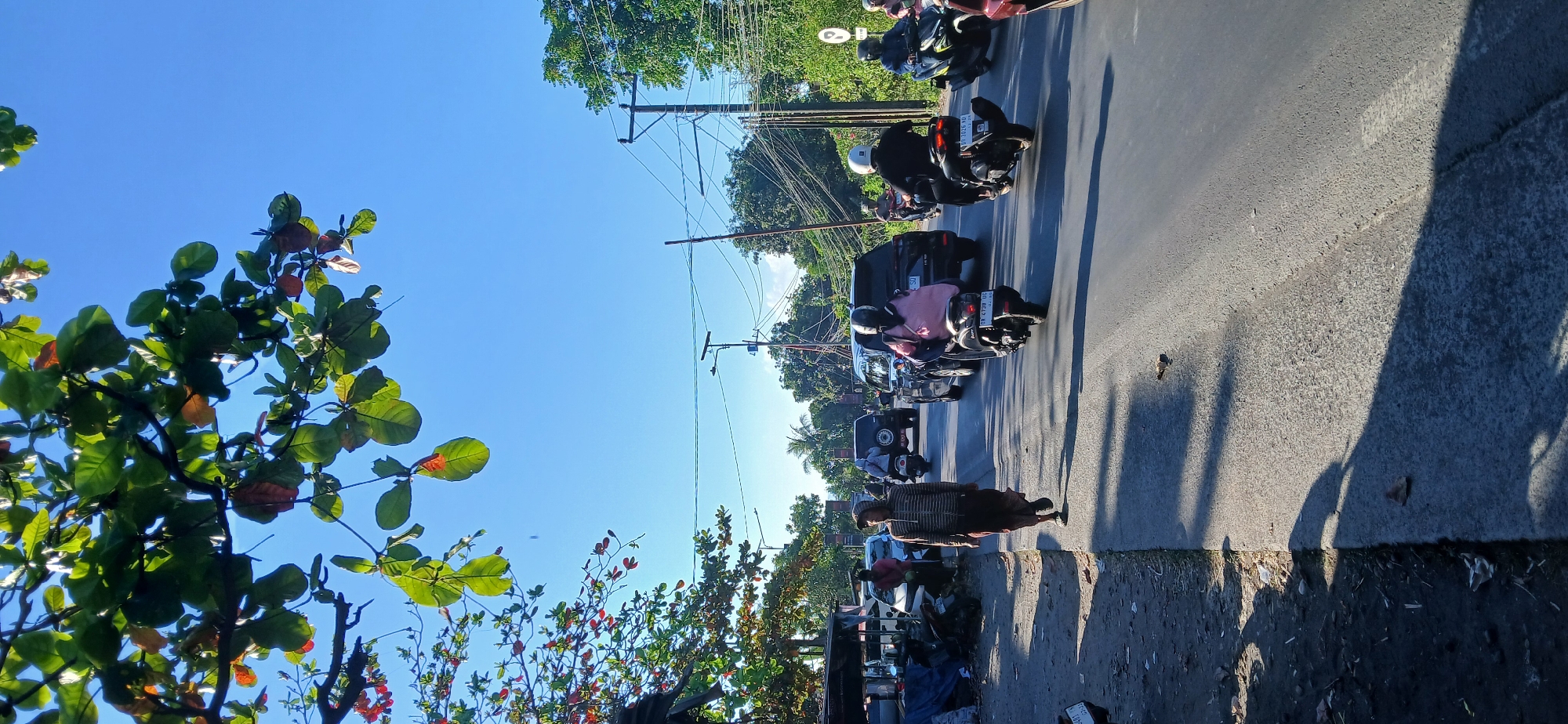 The image captures a street scene in Kediri, Indonesia, under a clear blue sky. The foreground is dominated by a paved road and a dirt shoulder lined with various objects, including what appears to be a makeshift stall with blue tarpaulin and discarded items. A man wearing a hooded shirt and a sarong walks along the dirt shoulder, casting a long shadow.
The road itself is bustling with traffic, primarily motorcycles and a few cars. On the right side of the road, several motorcycles are in motion. One scooter, carrying a passenger in a pink shirt, is in the immediate foreground, its license plate visible. Further down the road, other motorcycles and a black SUV are also present.
Lush green trees and foliage frame the top portion of the image, with some branches extending into the frame. Utility poles and power lines are visible in the background, indicating an urban or semi-urban environment. The overall impression is of a typical day on a busy street in Indonesia, characterized by a mix of pedestrian and vehicular activity set against a backdrop of natural greenery and infrastructure.