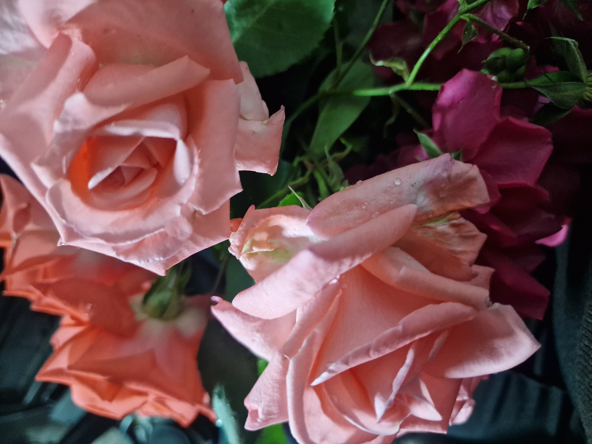A close-up, low-angle shot displays a bouquet of blooming roses with water droplets on their petals. The roses are predominantly in shades of pale pink and coral orange, with darker magenta-pink roses visible at the bottom. Lush green leaves and thin stems are interspersed throughout the bouquet. The background is dark and out of focus, suggesting an indoor setting. The lighting is soft, highlighting the textures of the petals and the dew-like moisture.