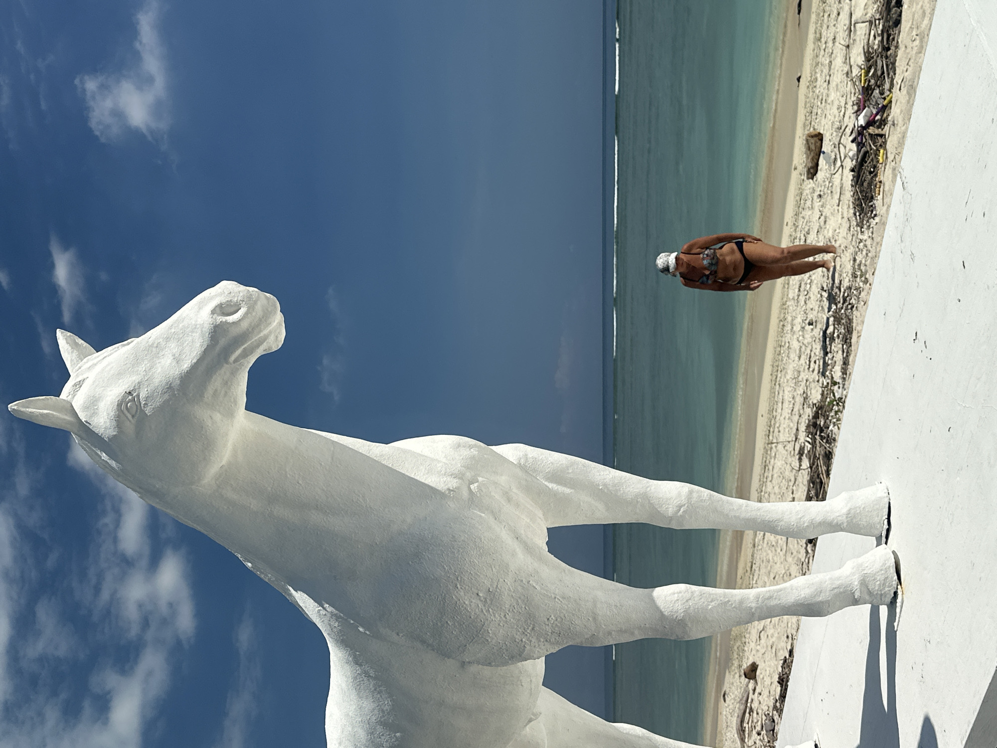A low-angle, eye-level shot depicts a white, textured horse statue against a blue sky with wispy clouds. In the background, a beach scene unfolds with sand, turquoise water, and debris. A person in a bikini stands on the sand near the water's edge. The location is Unknown, Indonesia.