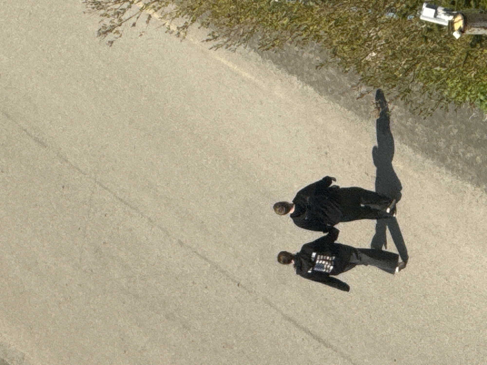 An elevated, overhead perspective captures two individuals walking hand-in-hand along a light-colored paved surface in Petropavlovsk-Kamchatsky, Russia. Both subjects are viewed from behind, dressed in dark long-sleeved tops and dark trousers. The individual on the left wears a dark hoodie with a distinct American flag pattern on its back. The individual on the right wears a plain dark top. Strong sunlight illuminates the scene, casting clear, elongated shadows of the figures to their right on the pavement. The paved surface, likely asphalt or concrete, displays subtle textural variations. Along the right edge of the frame, dense green foliage from a bush or small tree is present, and an indistinct light-colored object is partially visible, mounted on a wooden post at the lower right.