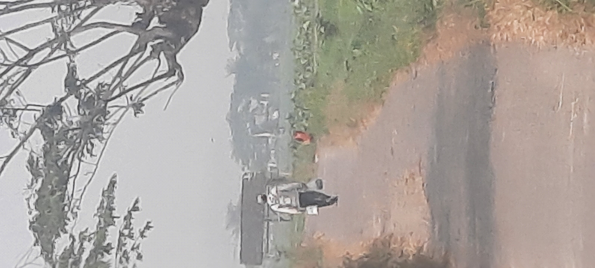 A person walks away from the camera down a paved road. They are wearing a white long-sleeved shirt with a pattern on the back and dark pants. They are carrying a white container in their right hand and a clear plastic bag in their left hand. To the right of the road, there is a field of green plants. In the distance, there are trees and buildings. The sky is hazy. The scene appears to be in Ploso, Indonesia, based on the context provided.