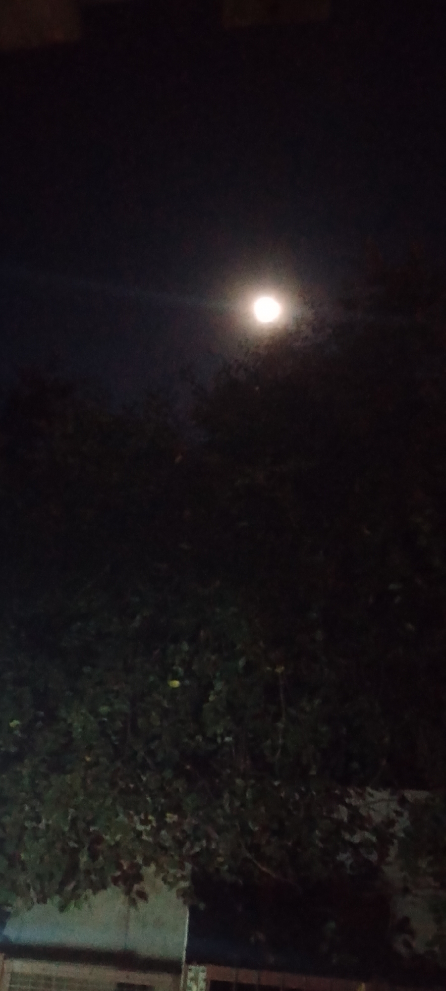 The image depicts a nighttime scene with a bright full moon illuminating the sky above a dark silhouette of trees. The lower portion of the image shows a dimly lit structure, possibly a building or wall, with some indistinct details. The overall atmosphere is serene and dark, characteristic of a moonlit night. The location is identified as Belgorod, Russia.