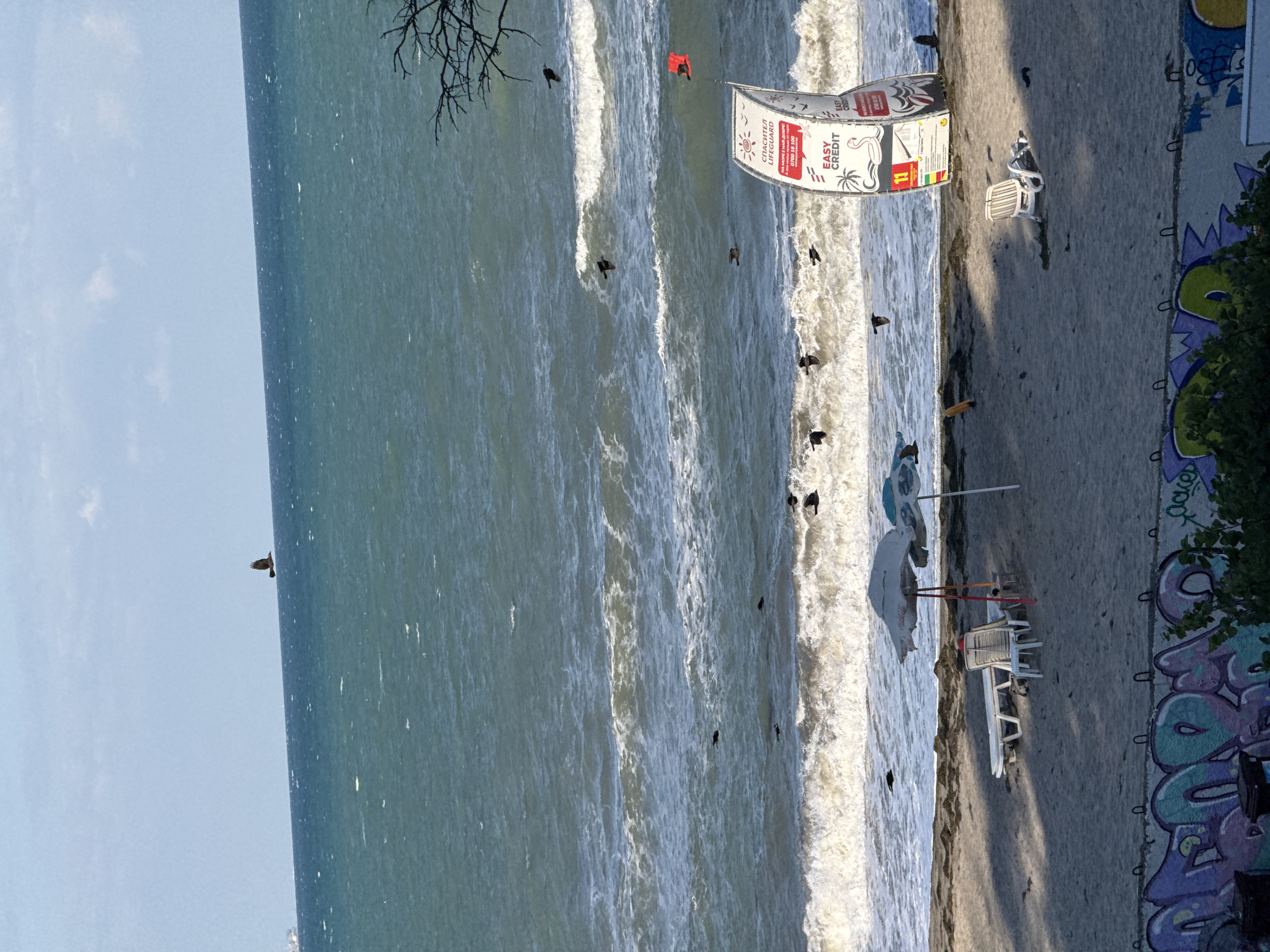 The image depicts a beach scene with the Black Sea in Burgas, Bulgaria. The sea is rough with visible waves and whitecaps. Several birds are in flight over the water. On the sandy beach, there are two sun loungers, one white plastic and one white metal with a red cushion, both unoccupied. Two beach umbrellas, one large and white, and a smaller blue one, are set up. A large white sign with red and black text and images is positioned on the right side of the beach. In the foreground, a concrete wall is covered in graffiti, with some green foliage visible to the right. The sky is clear with a few scattered clouds. The overall impression is a moderately active beach with a backdrop of choppy sea and a bright sky.