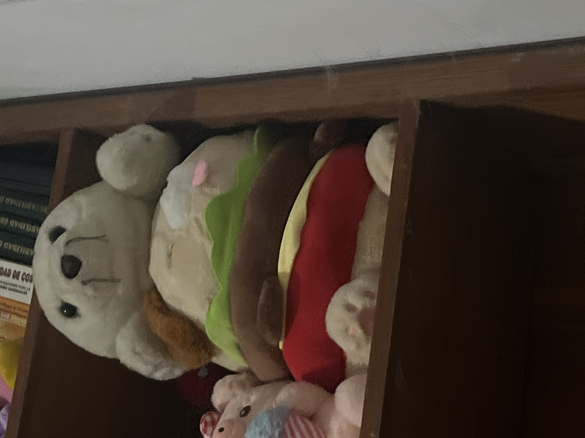 A plush seal toy is stacked on top of a plush hamburger toy on a wooden shelf. The seal toy is white with black eyes and mouth. The hamburger toy has a green lettuce layer, a brown meat patty, and a red bun base. To the left of the hamburger toy, a pink pig plush toy is partially visible. The background shows books on a shelf. The location is described as Santa Ana, Venezuela.