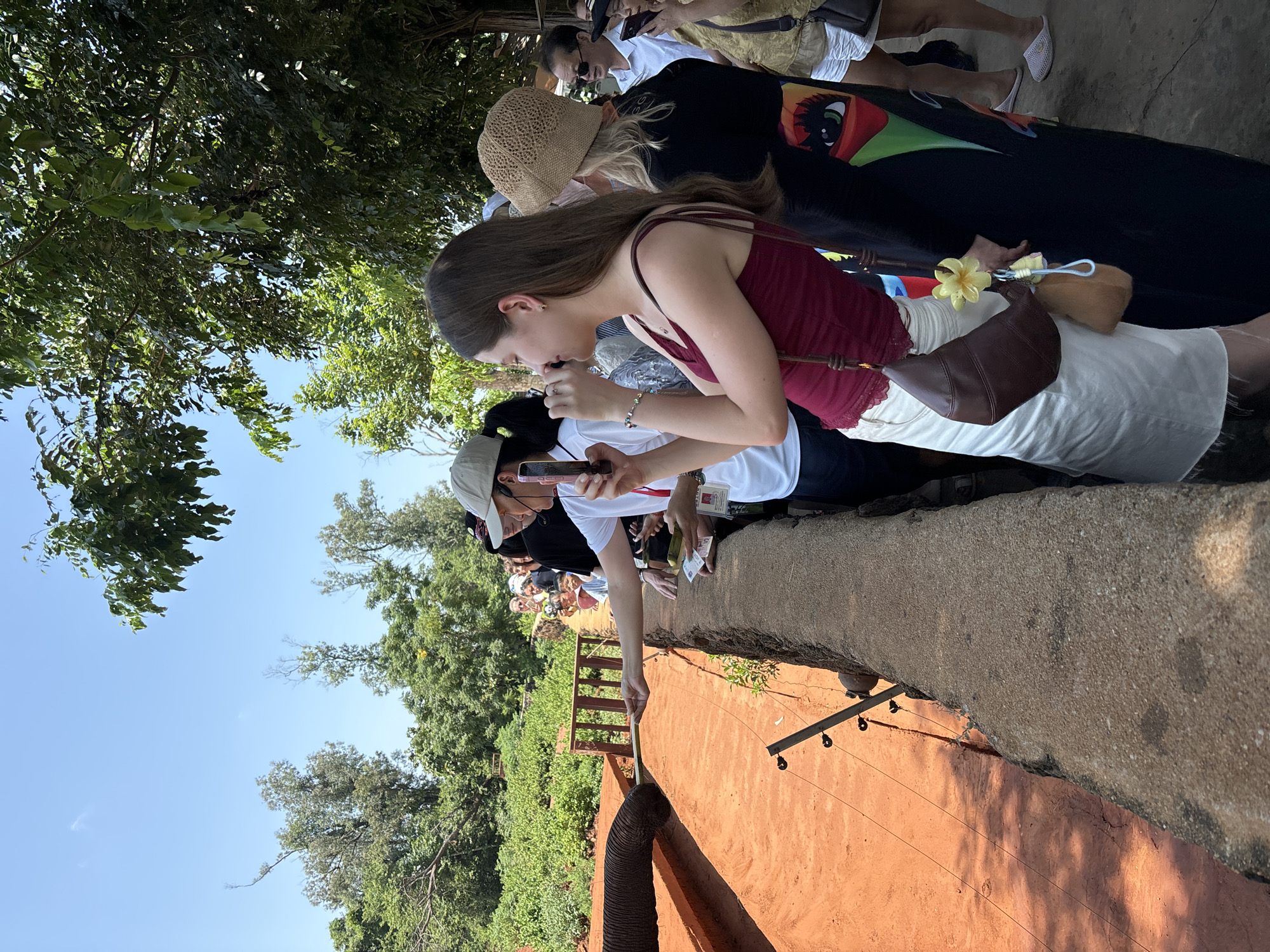 In the city of Xiuying District, China, on a sunny day, a group of people are gathered along a concrete wall, observing an elephant. An elephant's trunk is visible on the left, reaching out to accept a stick from a person on the right. The people are dressed casually, some wearing hats and holding phones. The environment is outdoors, with lush green trees and vegetation in the background. The ground appears to be reddish-orange dirt.