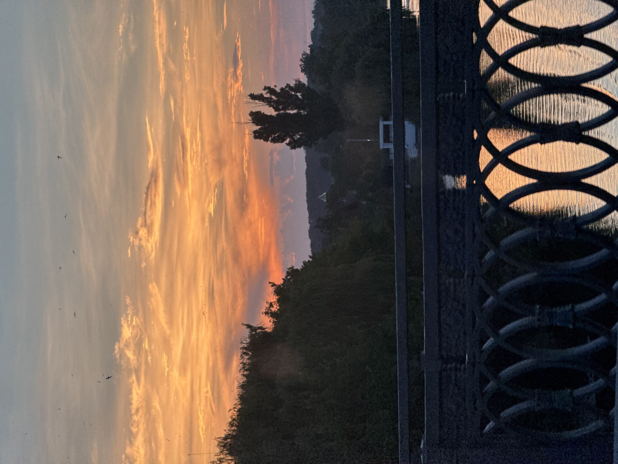 The image captures a sunset scene over a body of water, likely a river, in Vinnytsia, Ukraine. In the foreground, a dark, ornate metal railing of a bridge is visible, with its intricate oval pattern casting shadows and reflecting the warm hues of the sunset onto the water below. The water itself appears rippled, further distorting the reflections. Beyond the railing, a densely wooded embankment rises, creating a dark silhouette against the vibrant sky. The sky is a spectacle of color, transitioning from a soft blue at the top to intense oranges and pinks near the horizon, dotted with wispy clouds. Several birds are silhouetted against the sky, suggesting they are in flight. In the mid-ground, silhouetted trees stand starkly, one with a distinct, somewhat jagged shape. A building with a small domed roof and a modern, white structure with a flat roof are faintly visible amongst the trees. The overall impression is one of natural beauty at dusk, viewed from a bridge in Vinnytsia.