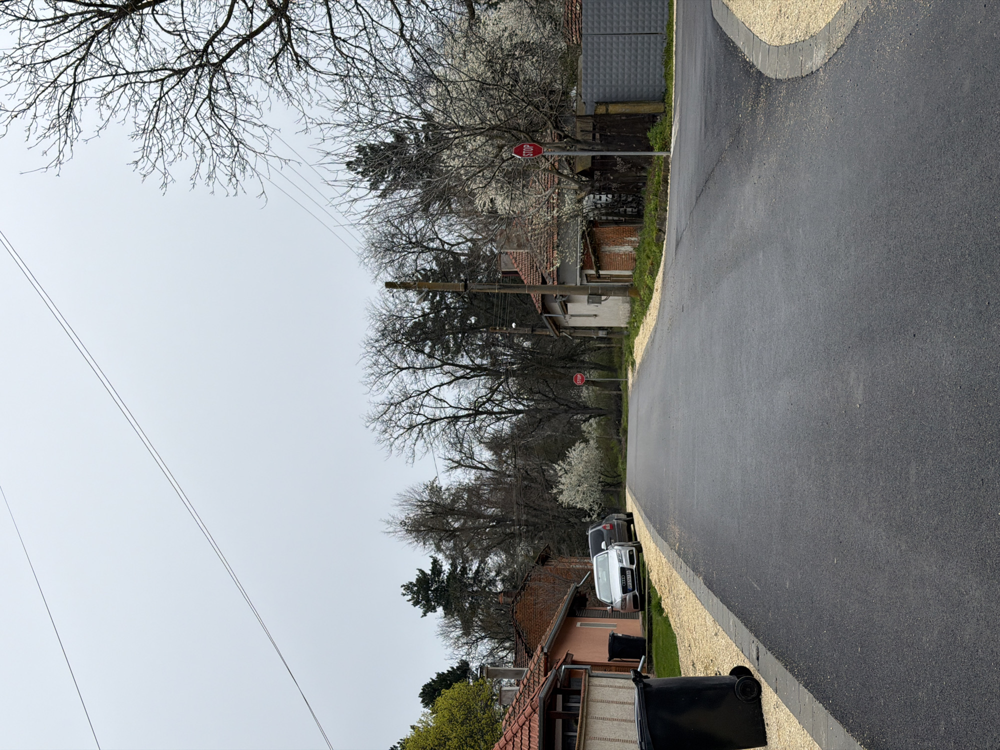 The image depicts a street in Brestovene, Bulgaria. The road surface is newly paved asphalt with gravel shoulders. Houses line the street, some with tile roofs and brick facades. Trees with bare branches and some with white blossoms are visible. Two cars, a white Audi and a dark SUV, are parked along the side of the road. A black trash bin sits in front of one of the houses. Two red stop signs are visible along the street. Overhead, power lines run across the sky. The sky is overcast.