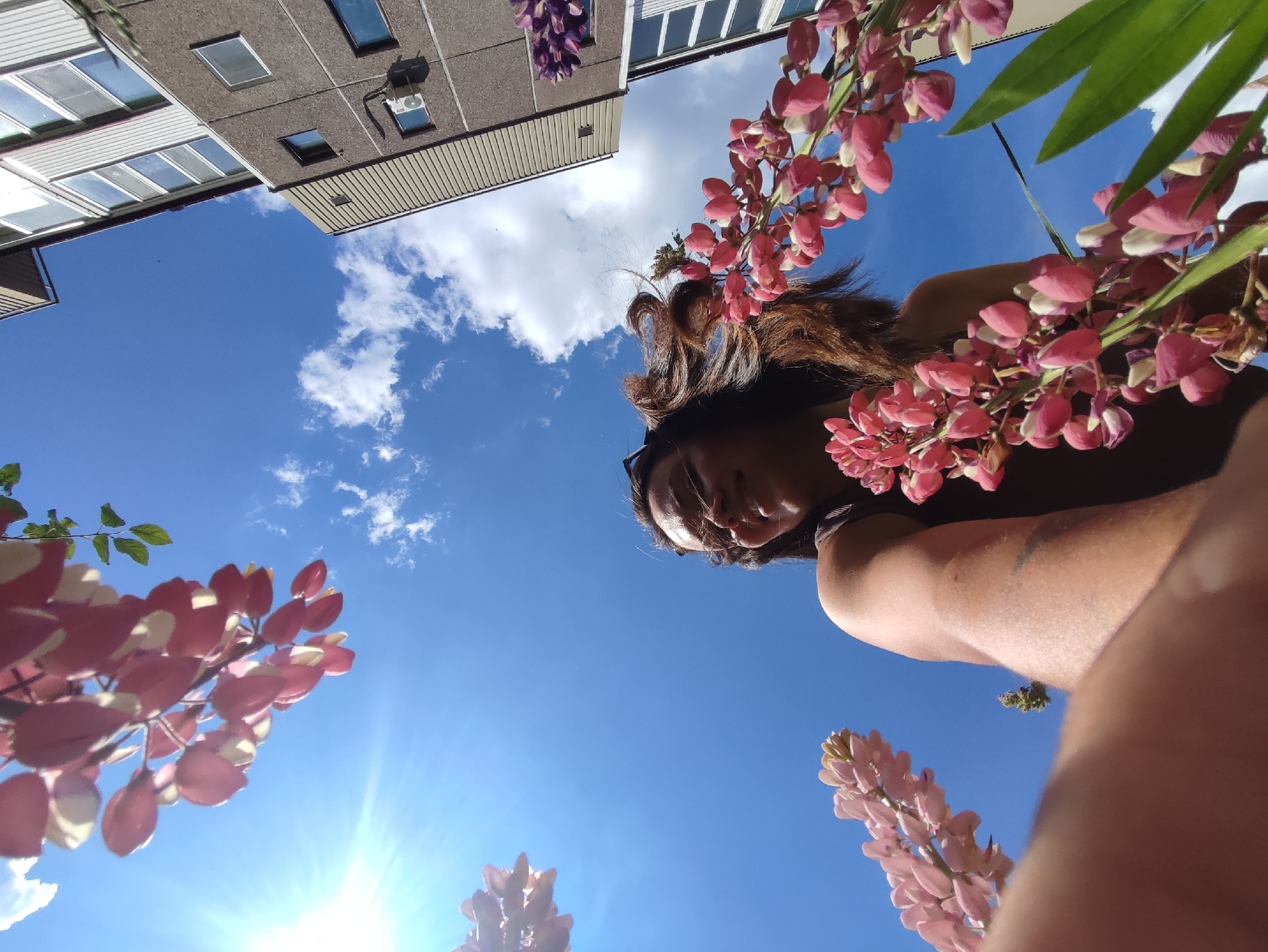 A low-angle, wide-shot photograph captures a person from a worm's-eye view against a bright blue sky with scattered clouds, a sunburst effect radiating from the lower left. The person, with dark, wavy hair and wearing sunglasses, is positioned in the upper right quadrant, looking down towards the camera. Their right arm and shoulder are visible, with hints of a tattoo on the upper arm. The foreground is dominated by clusters of pink lupine flowers, which appear to be growing from the ground or a low planter. In the background, the lower sections of two multi-story buildings with windows and architectural details are visible, suggesting an urban or suburban environment. The overall impression is one of a person lying down or looking up from a low vantage point amidst flowers, with buildings providing a backdrop under a clear sky. The location is identified as Марковский, Russia.