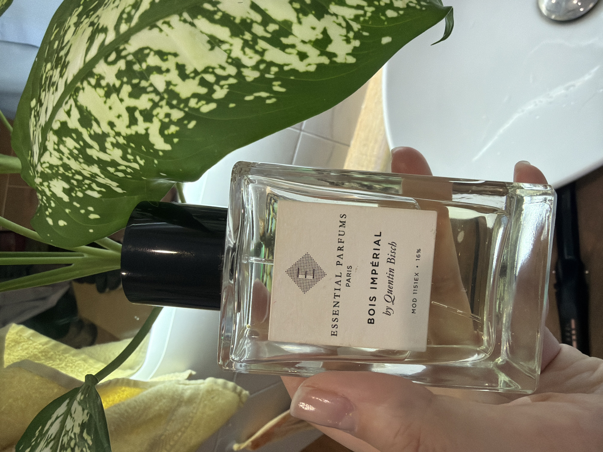 A hand holds a rectangular clear glass bottle of "Bois Impérial" fragrance by Quentin Bisch from "Essential Parfums, Paris." The label is off-white with black lettering and a geometric emblem at the top. The bottle has a black cap. A plant with large, mottled green and white leaves is partially visible behind the bottle. A white sink or basin is also visible in the upper right corner. There is a yellow cloth or towel partially visible in the lower-left corner. There is no indication in the image that identifies the location as Chaikovsky, Russia.